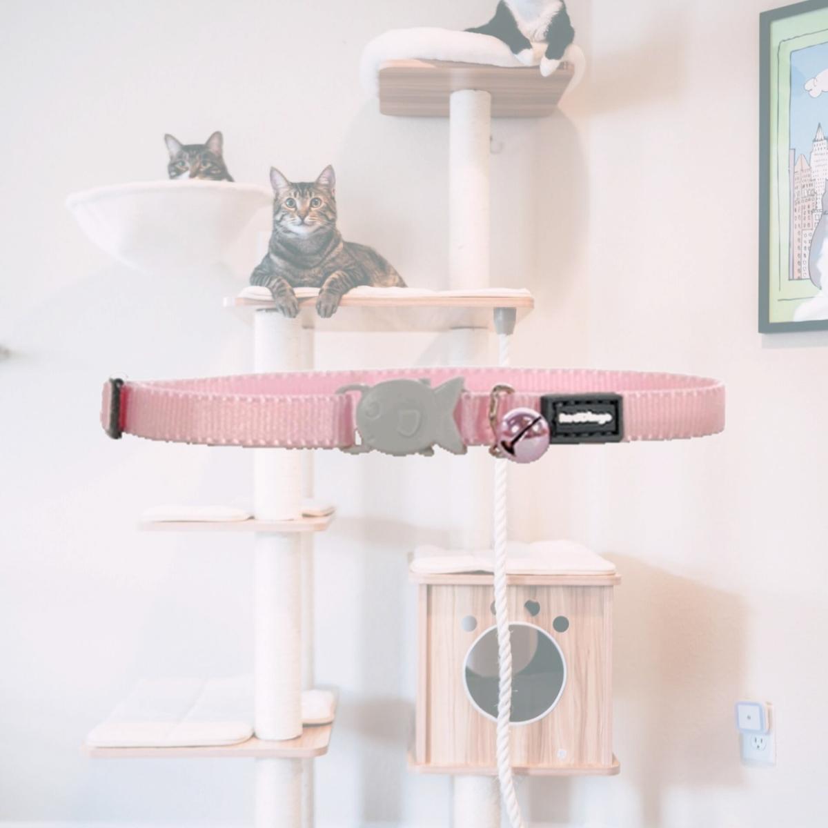 Picture of Red Dingo CC-ZZ-PK-XS Kitten Collar Classic Pink