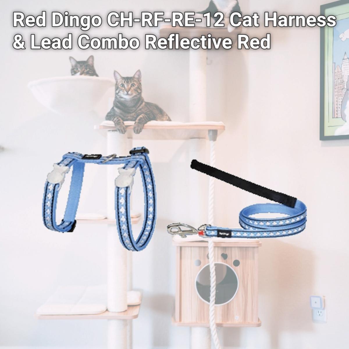 Picture of Red Dingo CH-RF-RE-12 Cat Harness &amp; Lead Combo Reflective Red