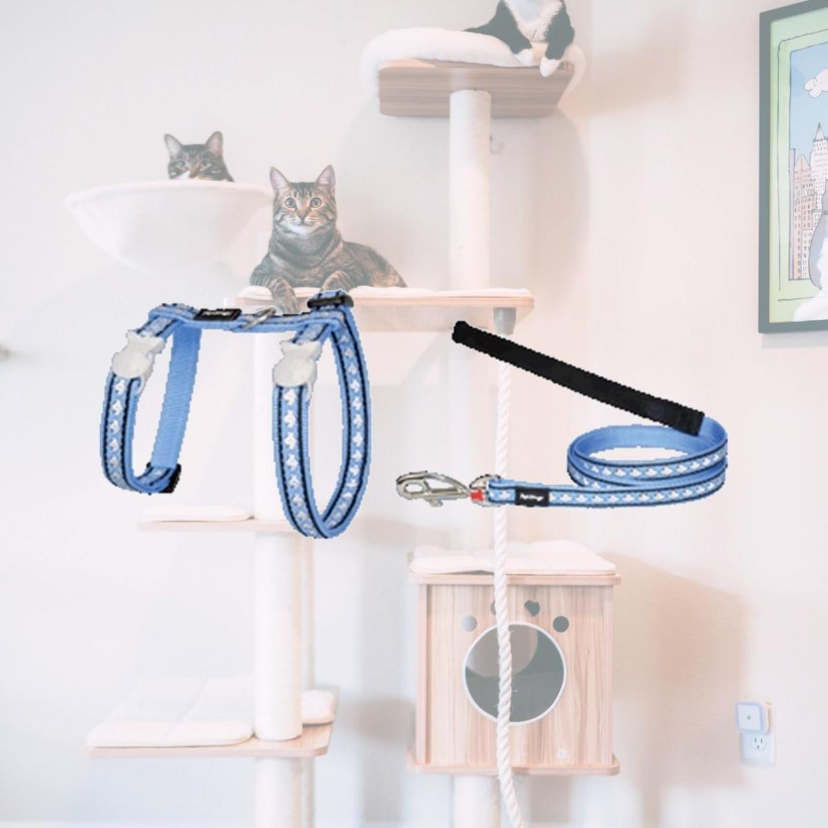 Picture of Red Dingo CH-RF-RE-12 Cat Harness &amp; Lead Combo Reflective Red