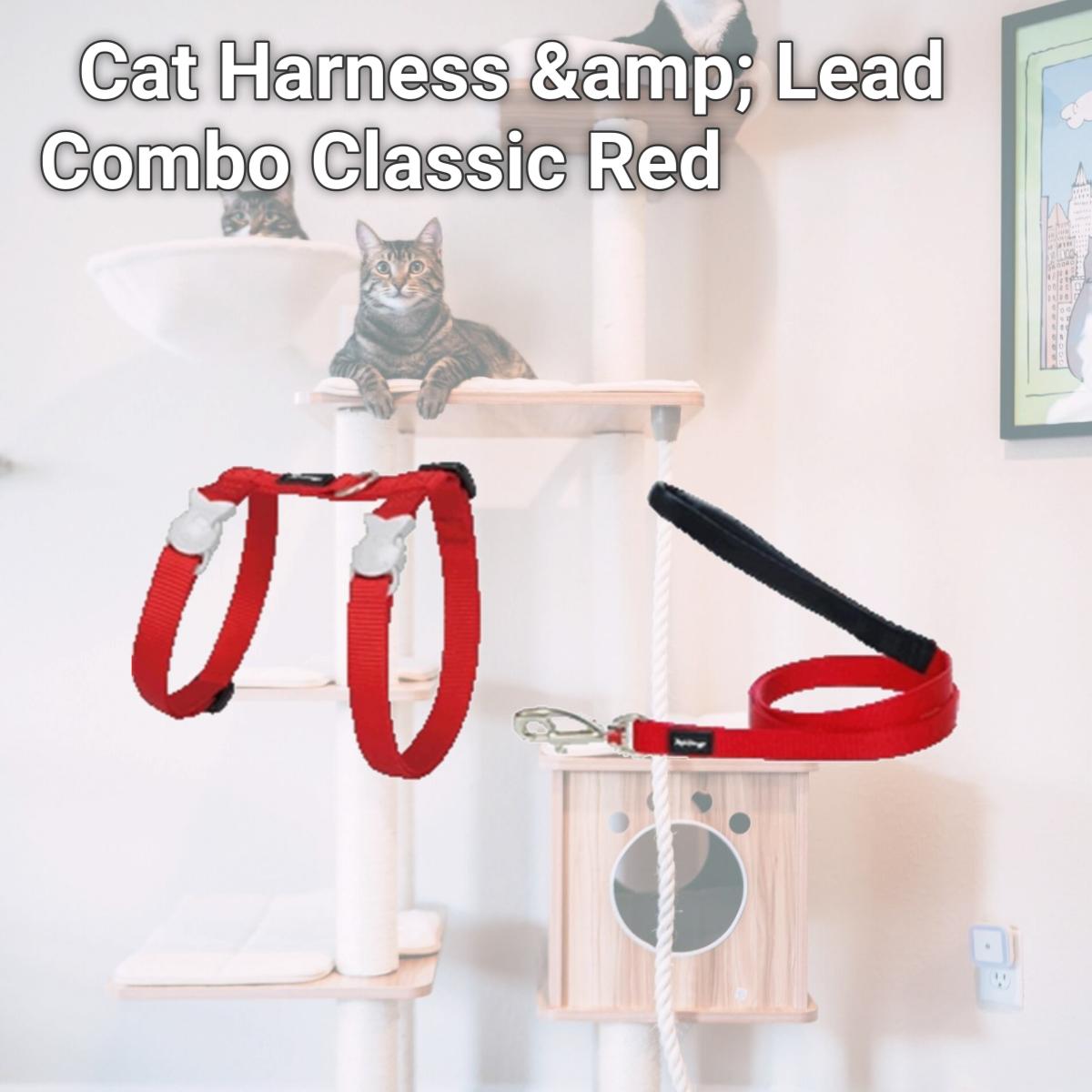 Picture of Red Dingo CH-ZZ-RE-12 Cat Harness &amp; Lead Combo Classic Red