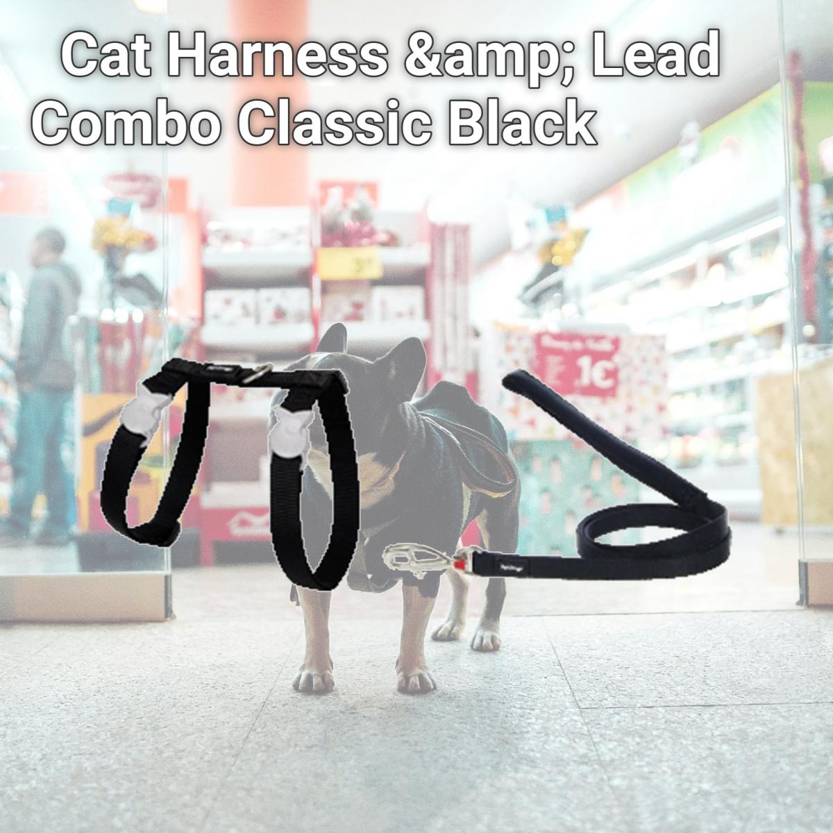 Picture of Red Dingo CH-ZZ-BB-12 Cat Harness &amp; Lead Combo Classic Black