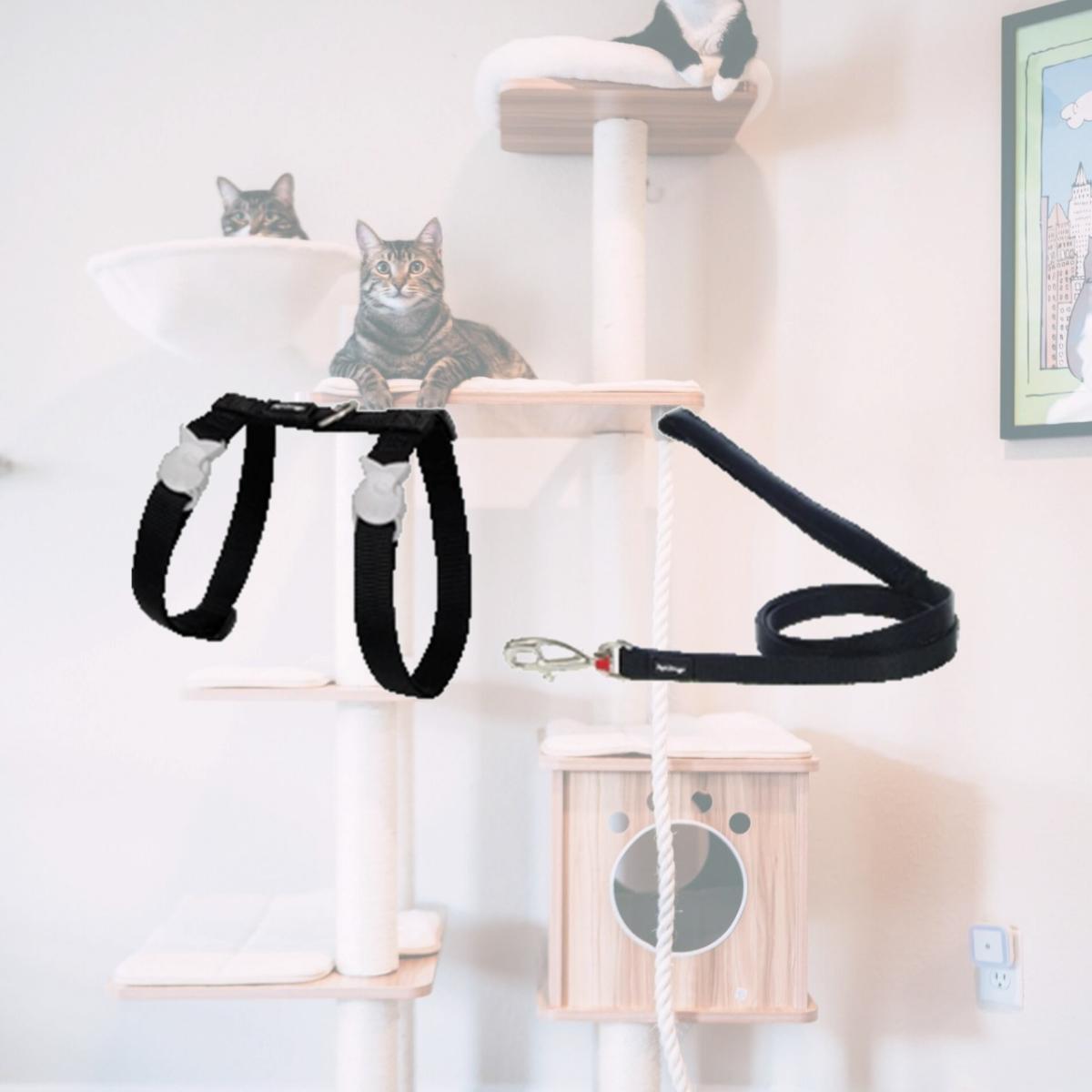 Picture of Red Dingo CH-ZZ-BB-12 Cat Harness &amp; Lead Combo Classic Black