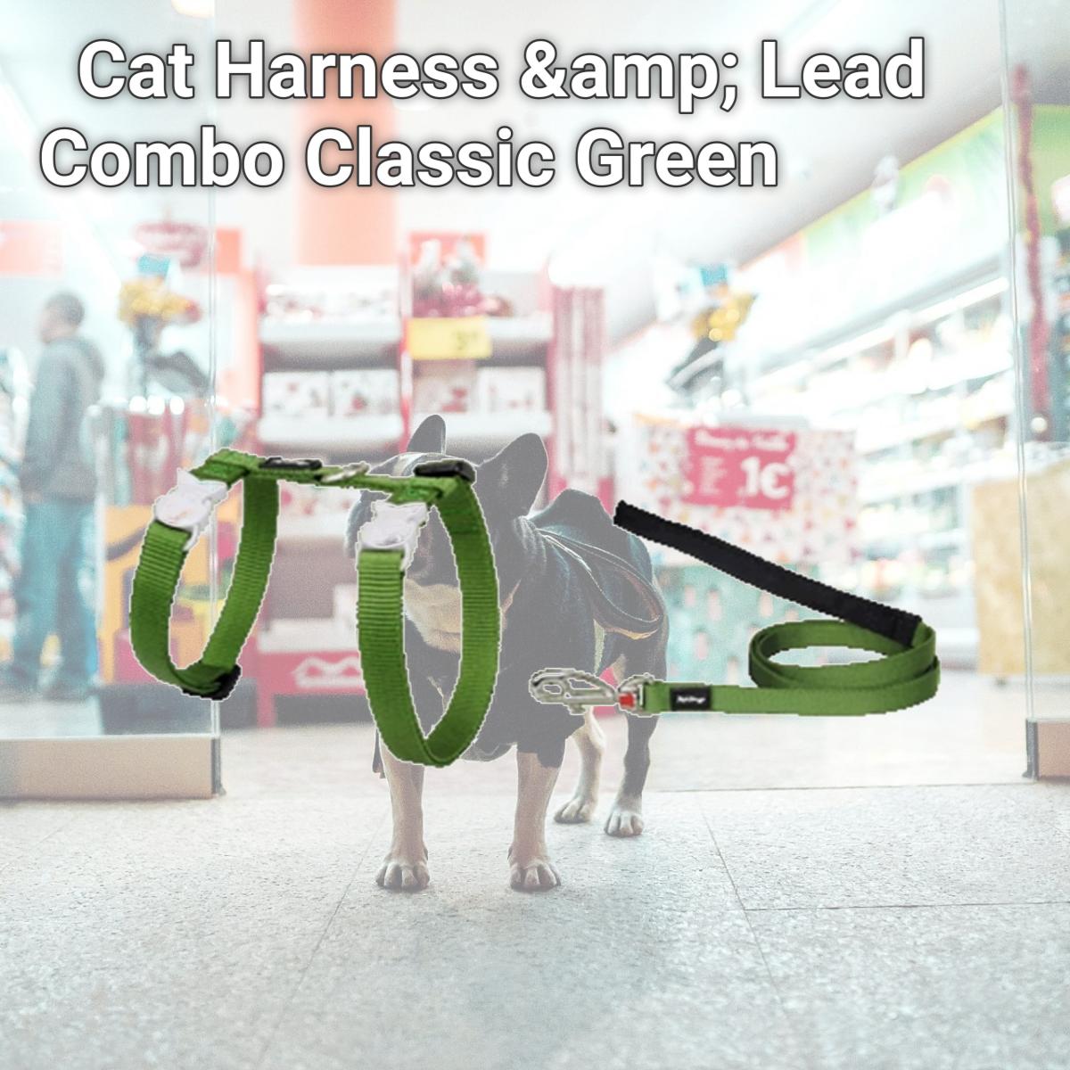 Picture of Red Dingo CH-ZZ-GR-12 Cat Harness &amp; Lead Combo Classic Green