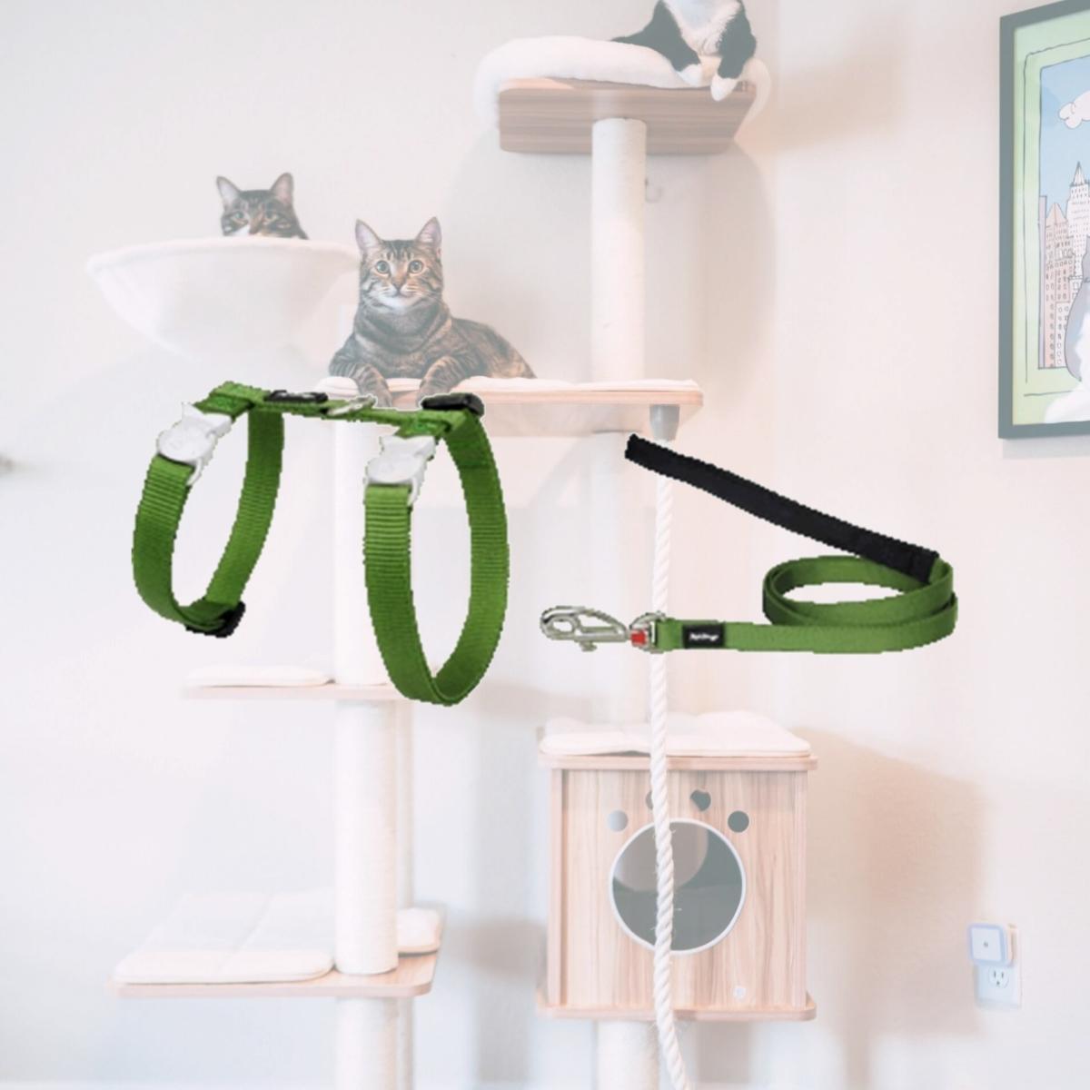 Picture of Red Dingo CH-ZZ-GR-12 Cat Harness &amp; Lead Combo Classic Green