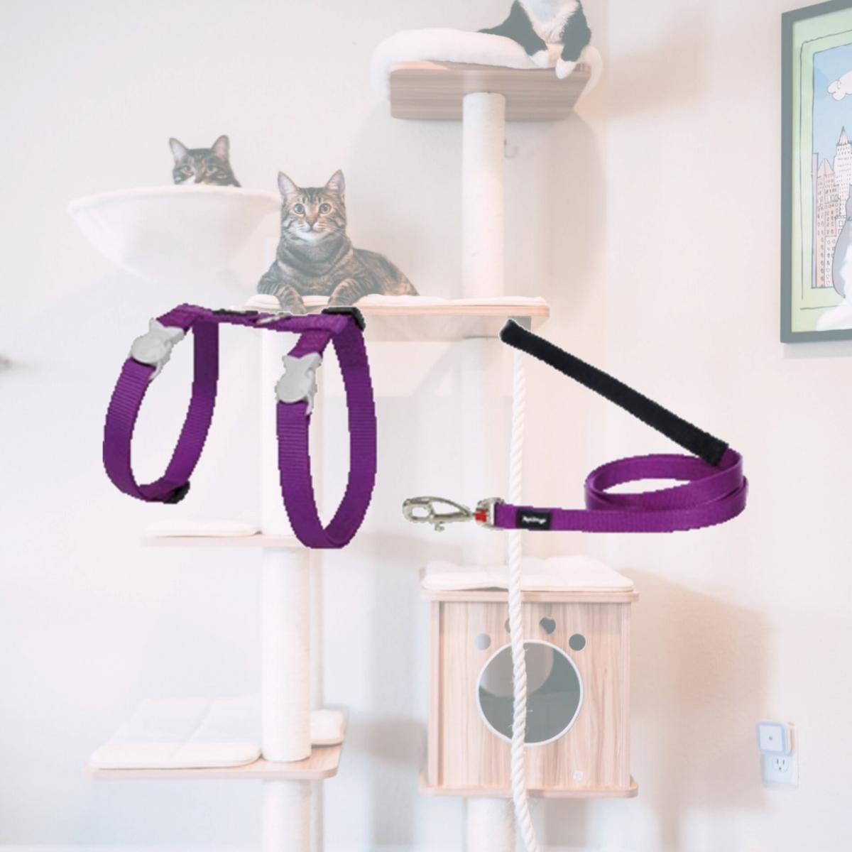Picture of Red Dingo CH-ZZ-PU-12 Cat Harness &amp; Lead Combo Classic Purple