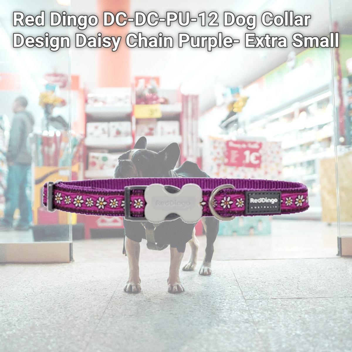 Picture of Red Dingo DC-DC-PU-12 Dog Collar Design Daisy Chain Purple- Extra Small