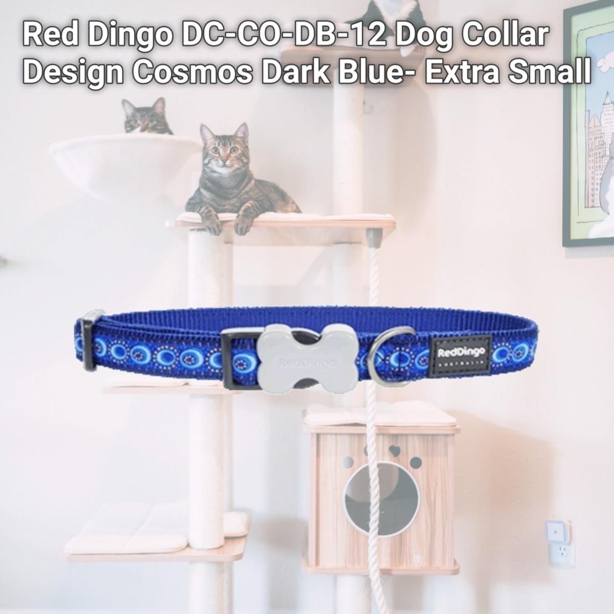 Picture of Red Dingo DC-CO-DB-12 Dog Collar Design Cosmos Dark Blue- Extra Small