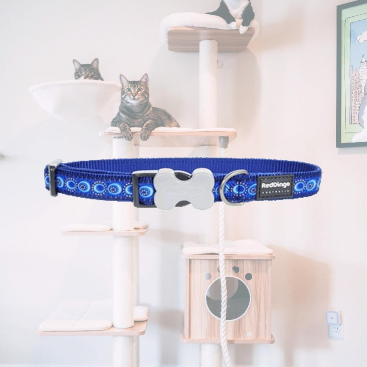 Picture of Red Dingo DC-CO-DB-12 Dog Collar Design Cosmos Dark Blue- Extra Small