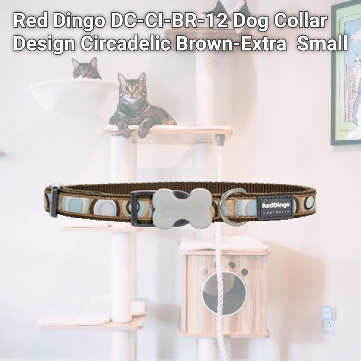 Picture of Red Dingo DC-CI-BR-12 Dog Collar Design Circadelic Brown-Extra  Small