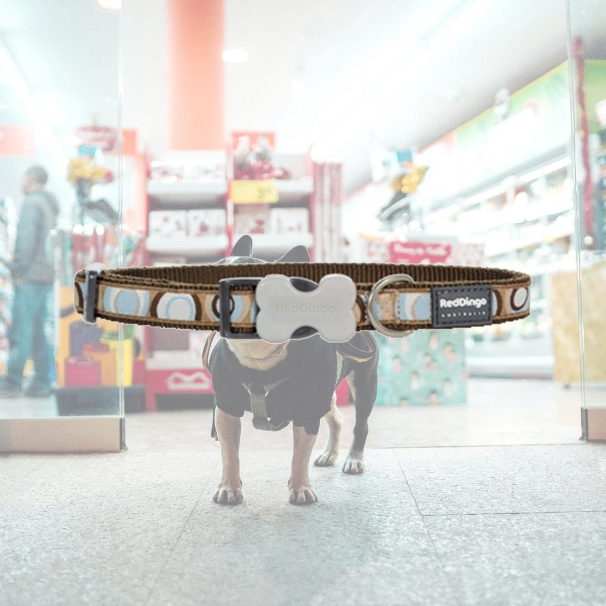 Picture of Red Dingo DC-CI-BR-12 Dog Collar Design Circadelic Brown-Extra  Small