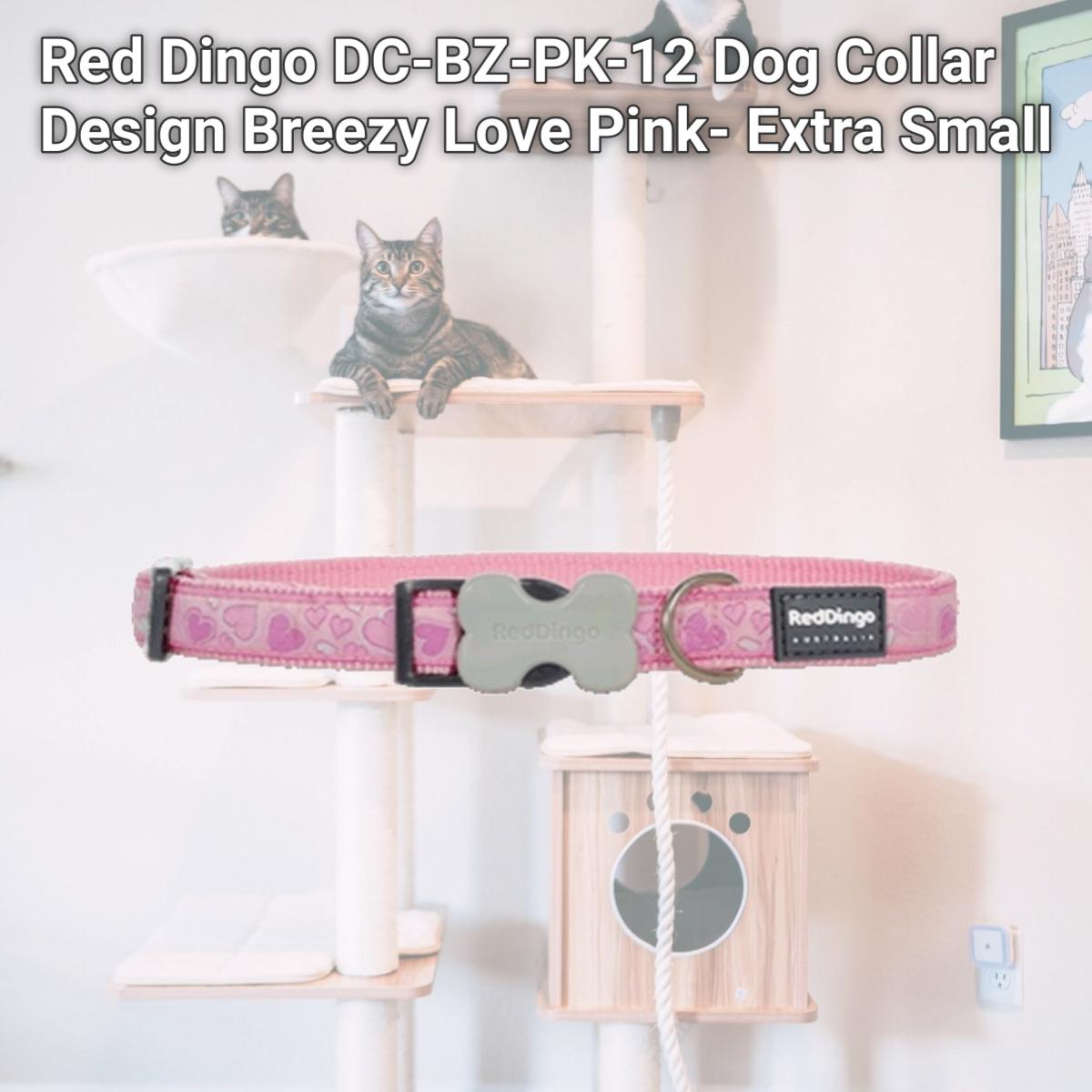 Picture of Red Dingo DC-BZ-PK-12 Dog Collar Design Breezy Love Pink- Extra Small
