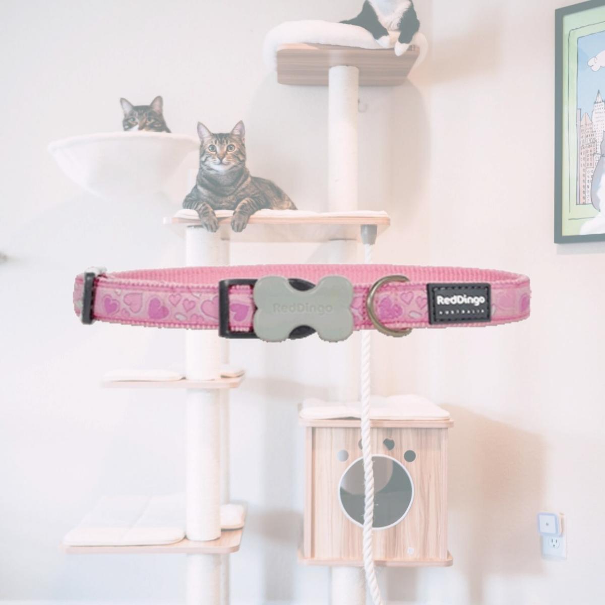 Picture of Red Dingo DC-BZ-PK-12 Dog Collar Design Breezy Love Pink- Extra Small