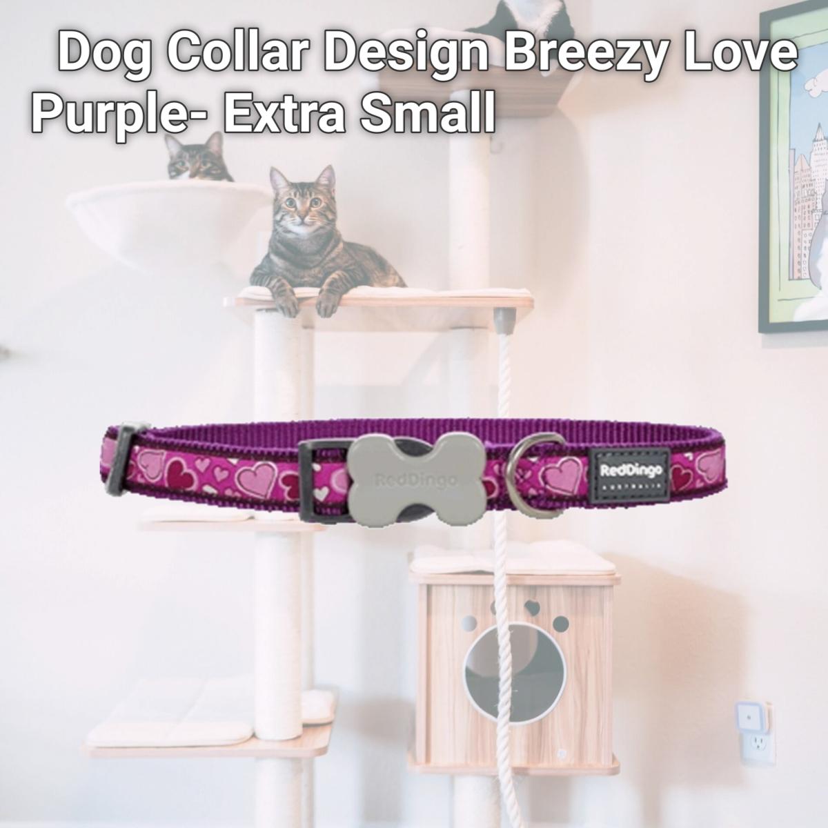 Picture of Red Dingo DC-BZ-PU-12 Dog Collar Design Breezy Love Purple- Extra Small