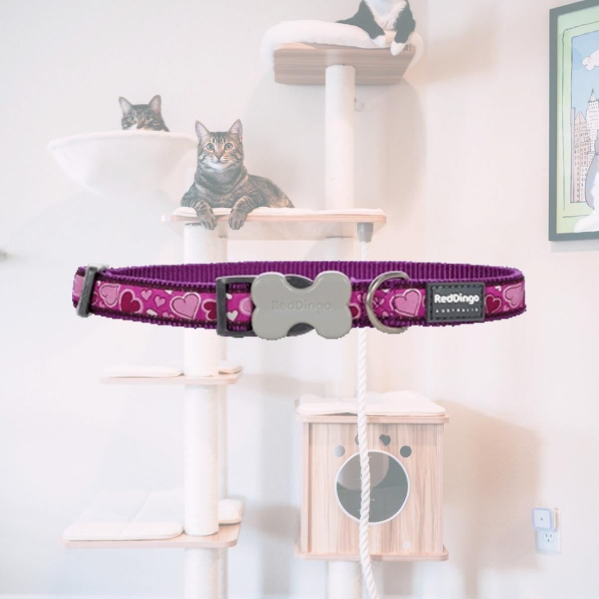 Picture of Red Dingo DC-BZ-PU-12 Dog Collar Design Breezy Love Purple- Extra Small