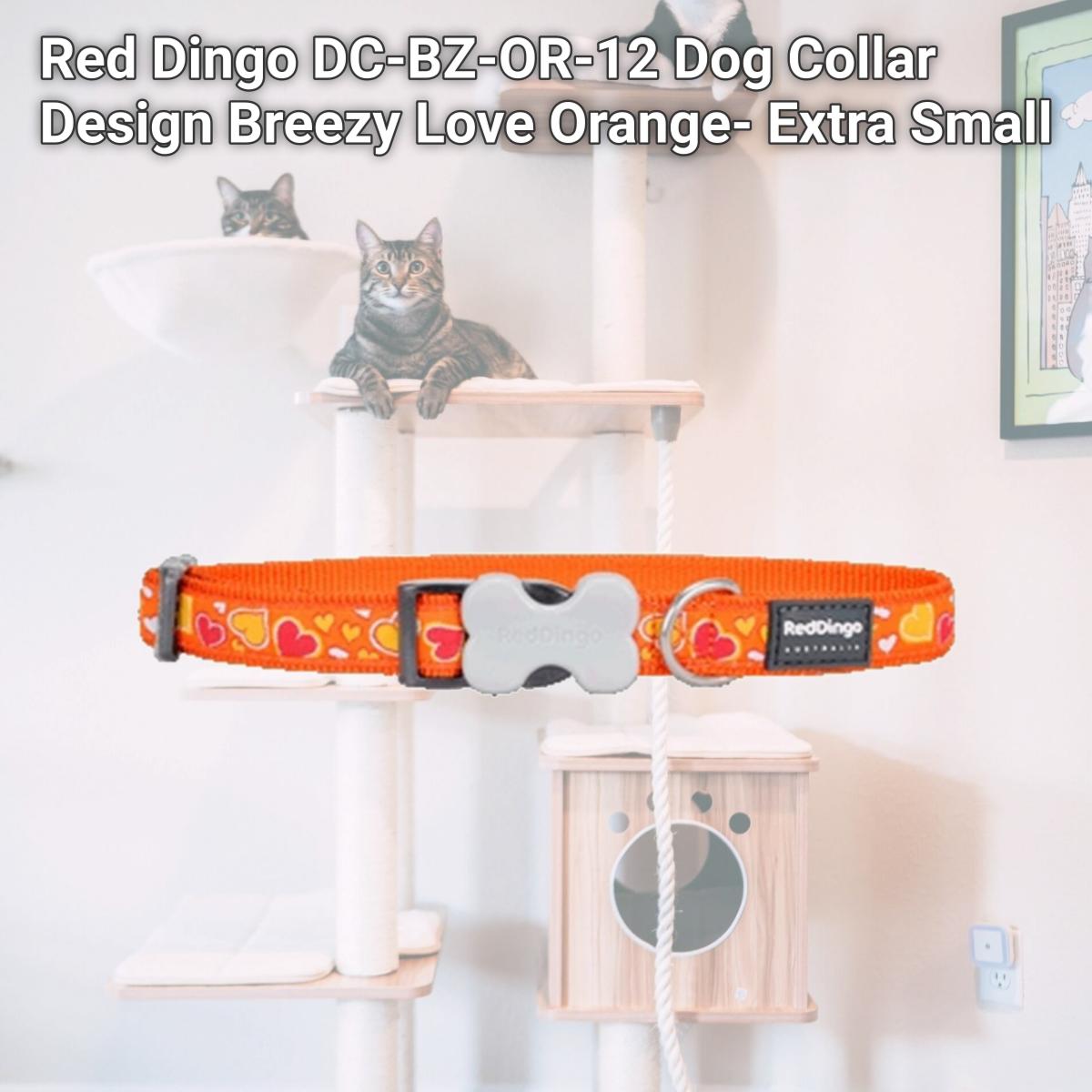 Picture of Red Dingo DC-BZ-OR-12 Dog Collar Design Breezy Love Orange- Extra Small