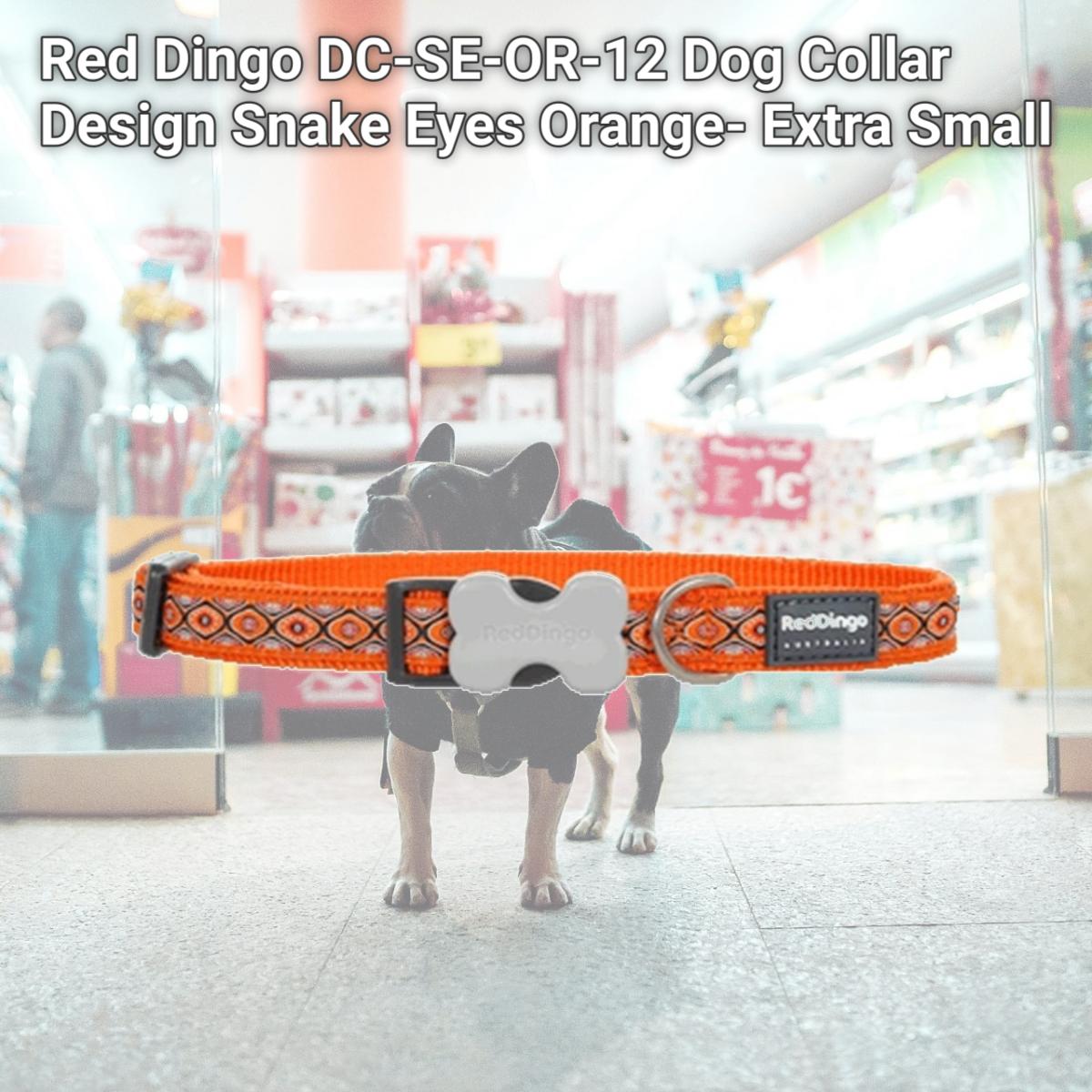Picture of Red Dingo DC-SE-OR-12 Dog Collar Design Snake Eyes Orange- Extra Small