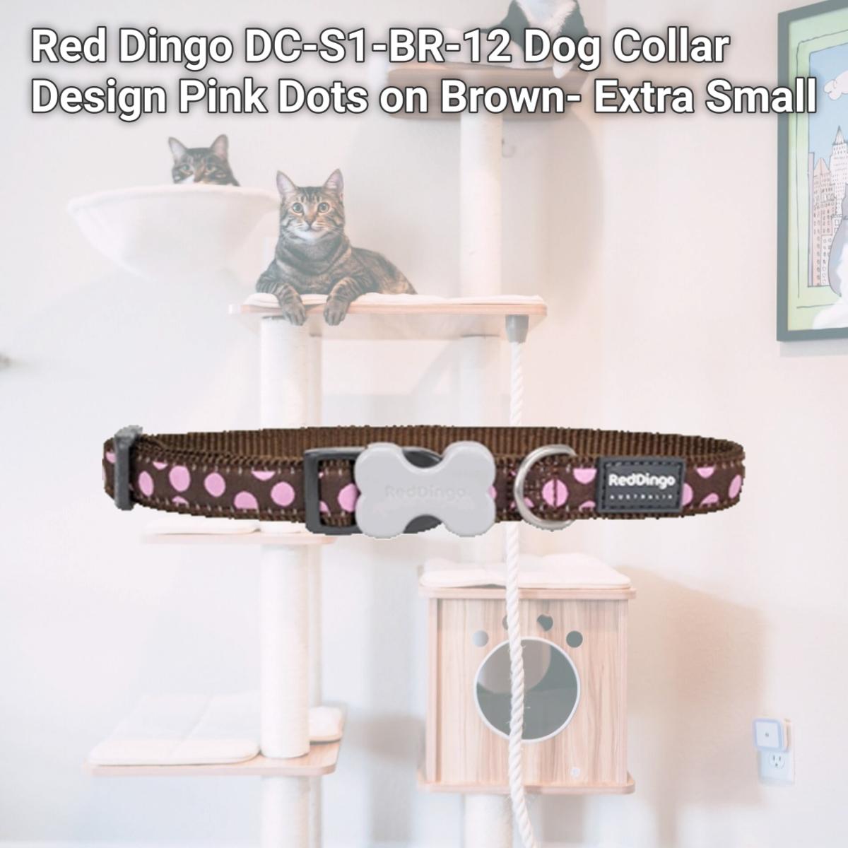 Picture of Red Dingo DC-S1-BR-12 Dog Collar Design Pink Dots on Brown- Extra Small