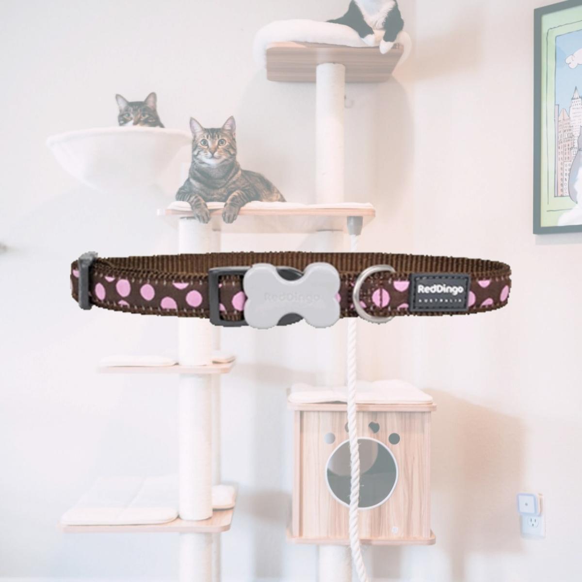 Picture of Red Dingo DC-S1-BR-12 Dog Collar Design Pink Dots on Brown- Extra Small
