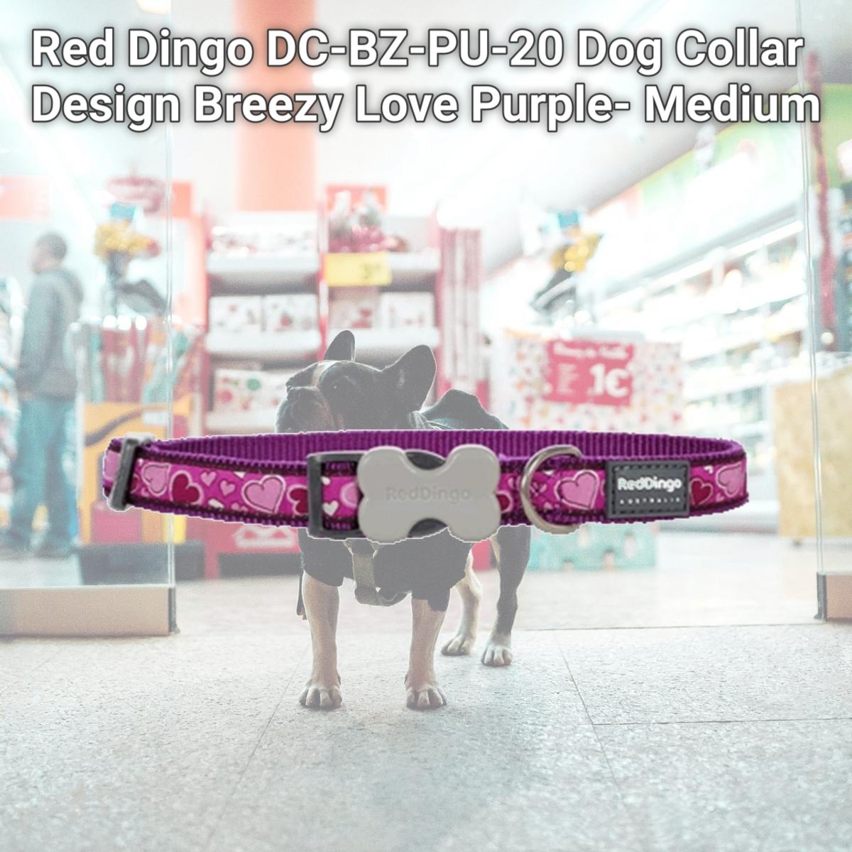 Picture of Red Dingo DC-BZ-PU-20 Dog Collar Design Breezy Love Purple- Medium
