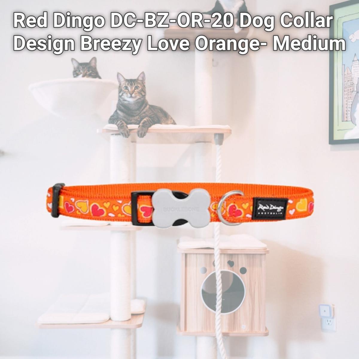 Picture of Red Dingo DC-BZ-OR-20 Dog Collar Design Breezy Love Orange- Medium