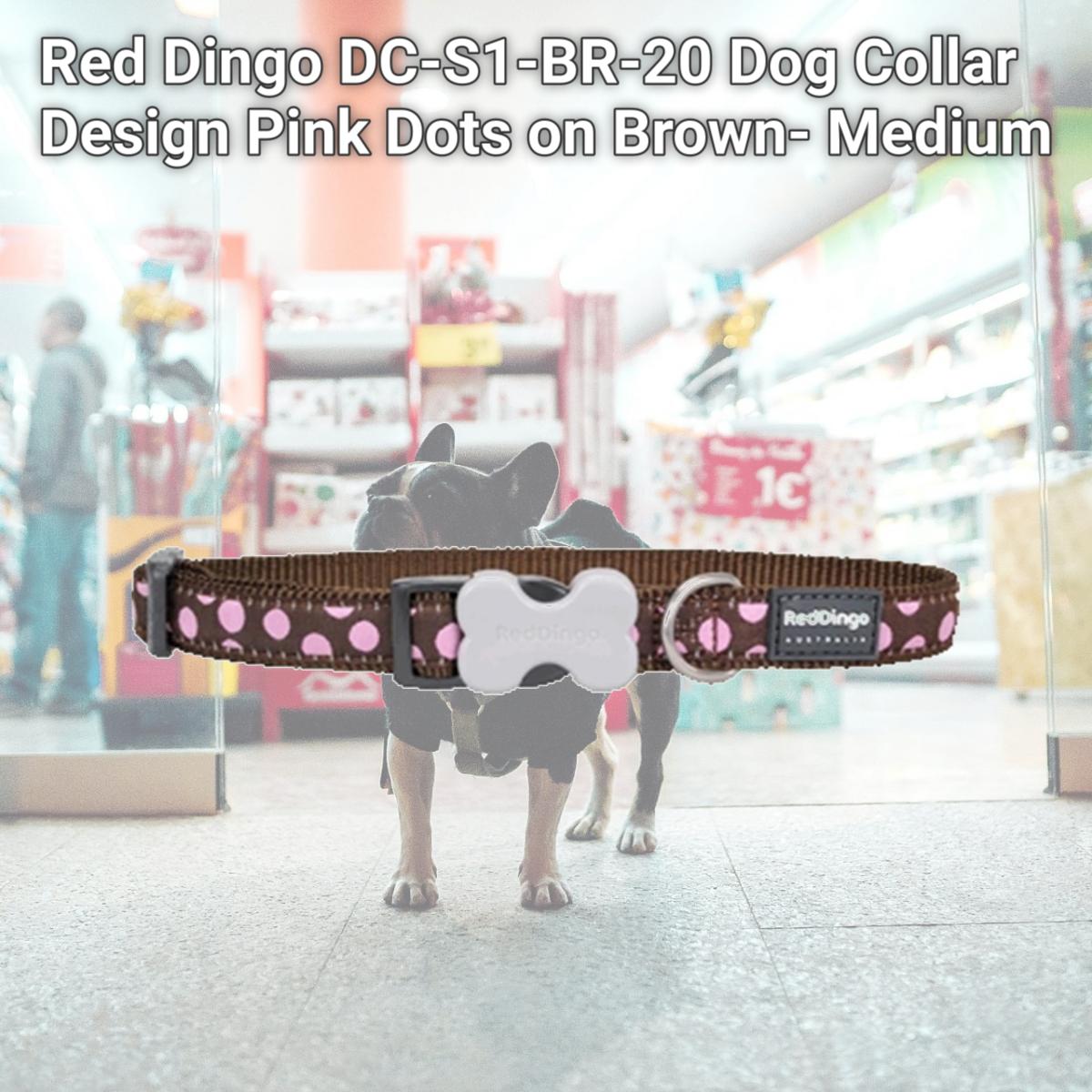 Picture of Red Dingo DC-S1-BR-20 Dog Collar Design Pink Dots on Brown- Medium