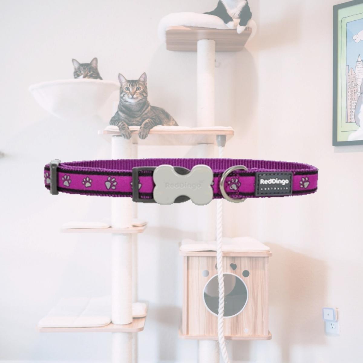 Picture of Red Dingo DC-PP-PU-25 Dog Collar Design Purple Pawprints- Large