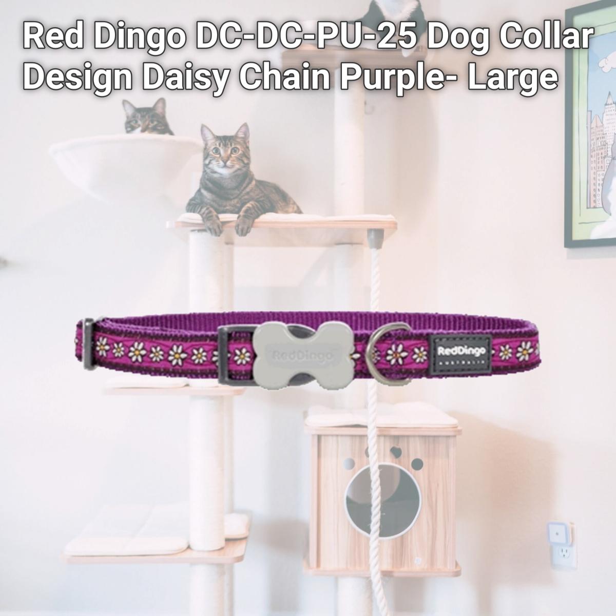 Picture of Red Dingo DC-DC-PU-25 Dog Collar Design Daisy Chain Purple- Large