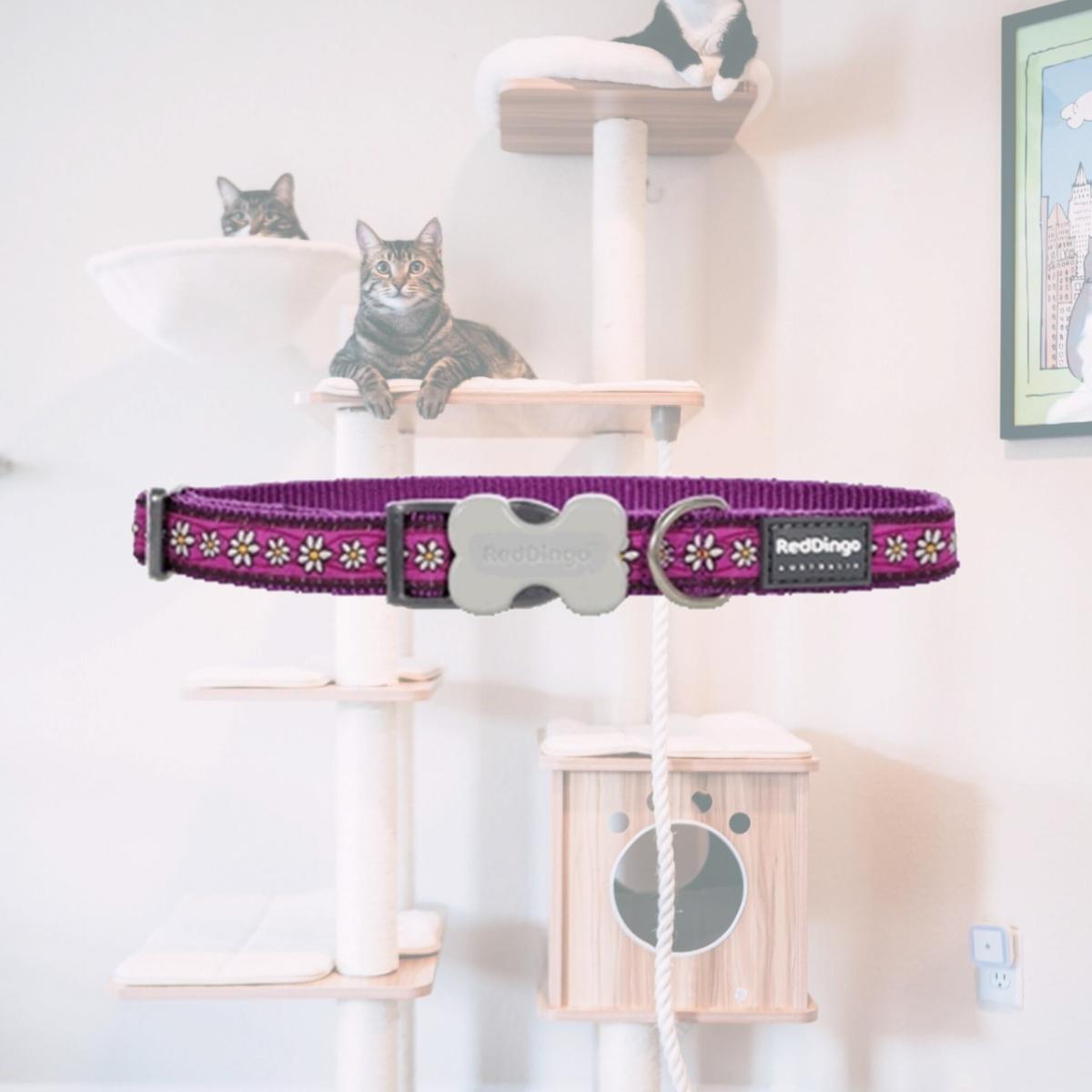 Picture of Red Dingo DC-DC-PU-25 Dog Collar Design Daisy Chain Purple- Large