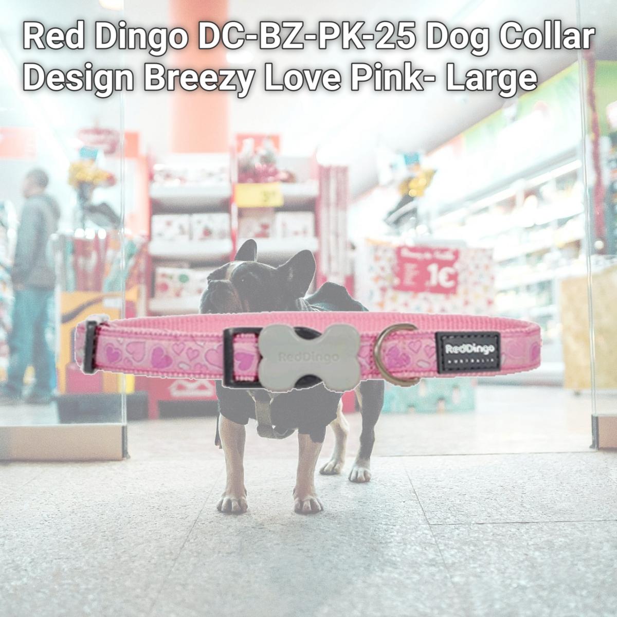 Picture of Red Dingo DC-BZ-PK-25 Dog Collar Design Breezy Love Pink- Large