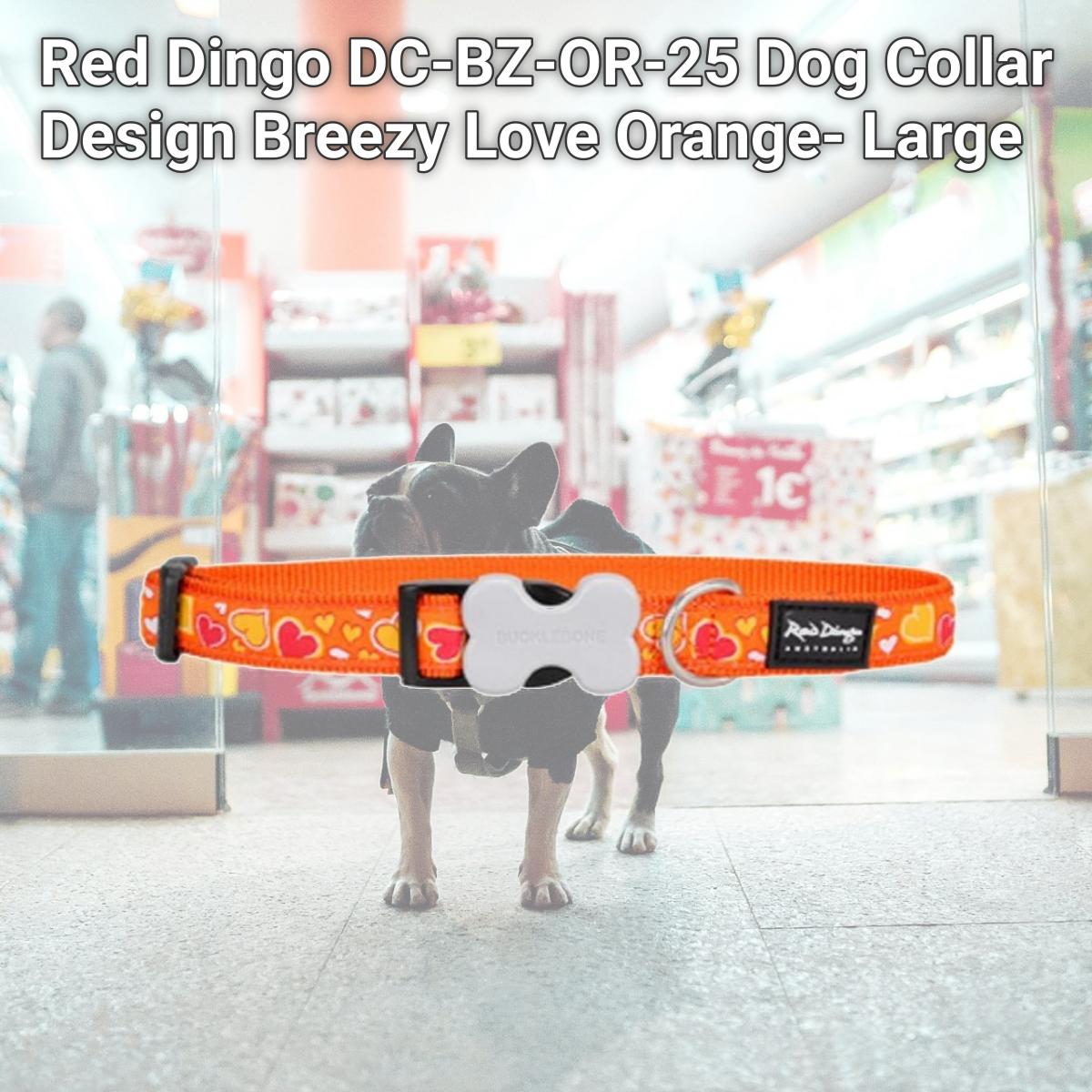 Picture of Red Dingo DC-BZ-OR-25 Dog Collar Design Breezy Love Orange- Large