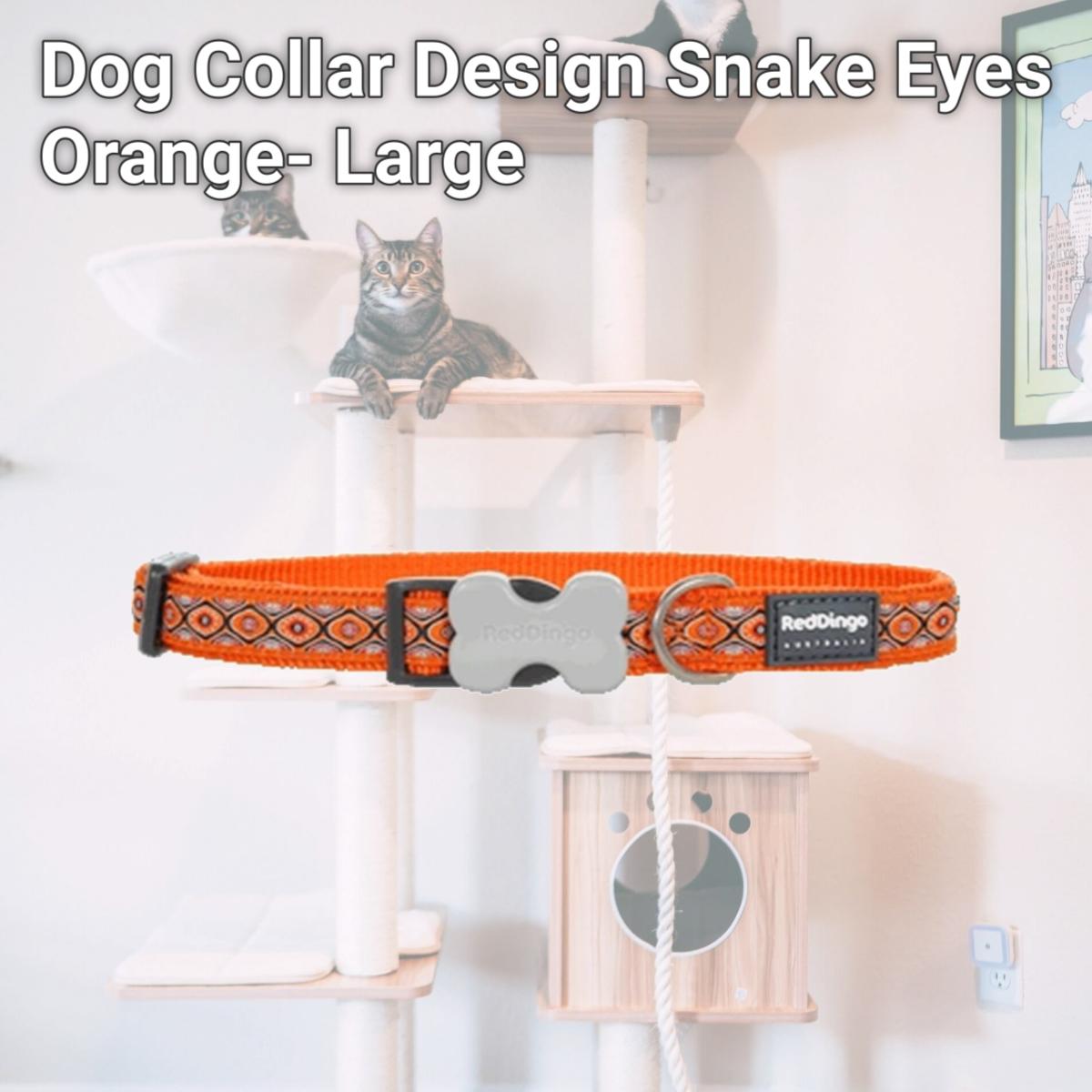 Picture of Red Dingo DC-SE-OR-25 Dog Collar Design Snake Eyes Orange- Large