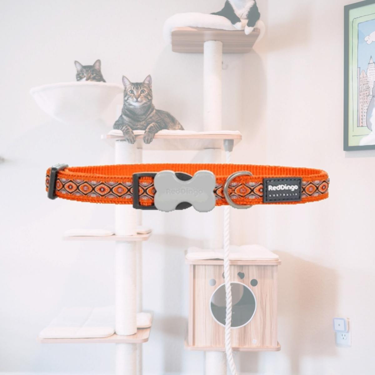 Picture of Red Dingo DC-SE-OR-25 Dog Collar Design Snake Eyes Orange- Large