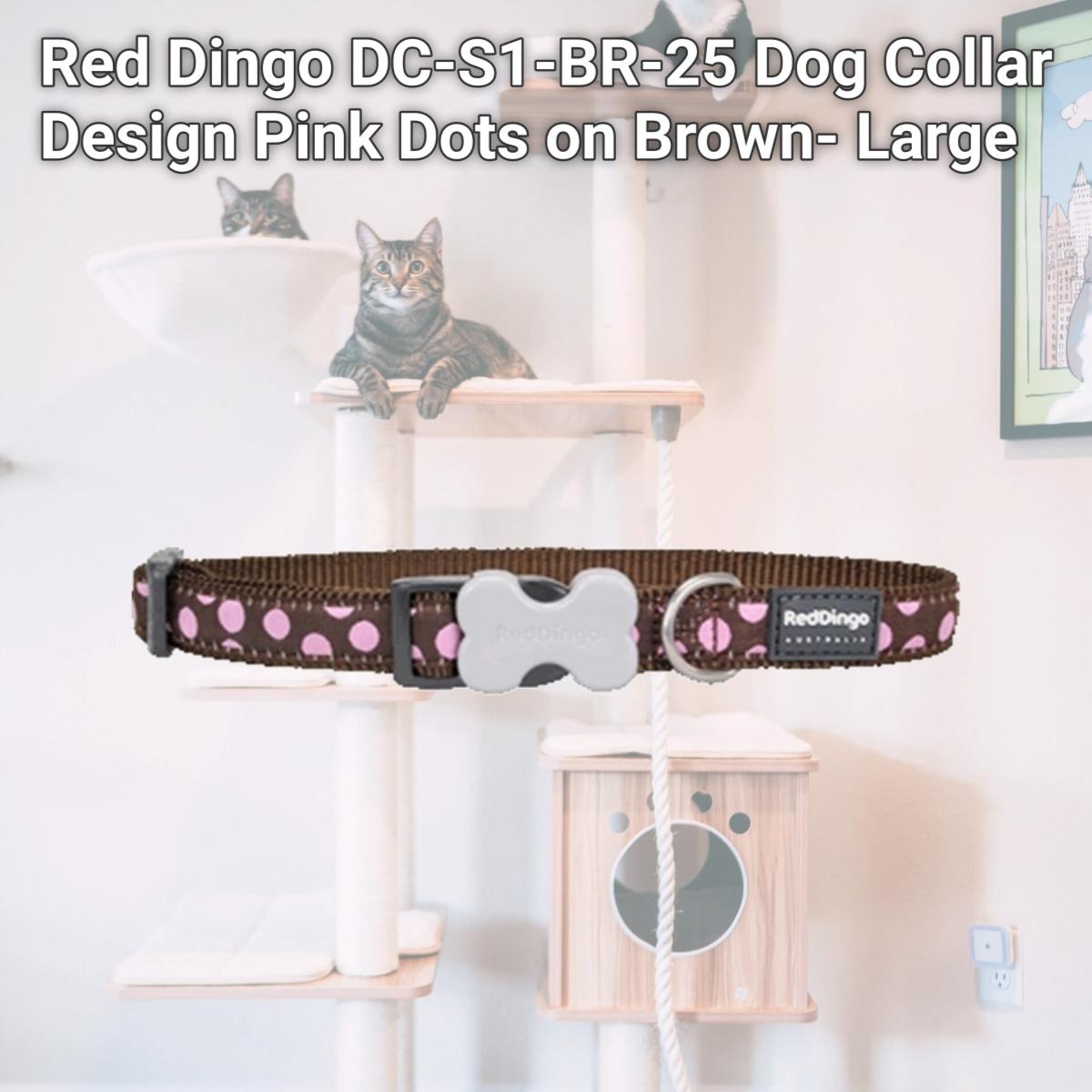 Picture of Red Dingo DC-S1-BR-25 Dog Collar Design Pink Dots on Brown- Large