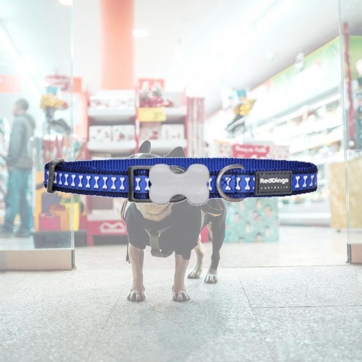 Picture of Red Dingo DC-RB-DB-12 Dog Collar Reflective Dark Blue- Extra Small
