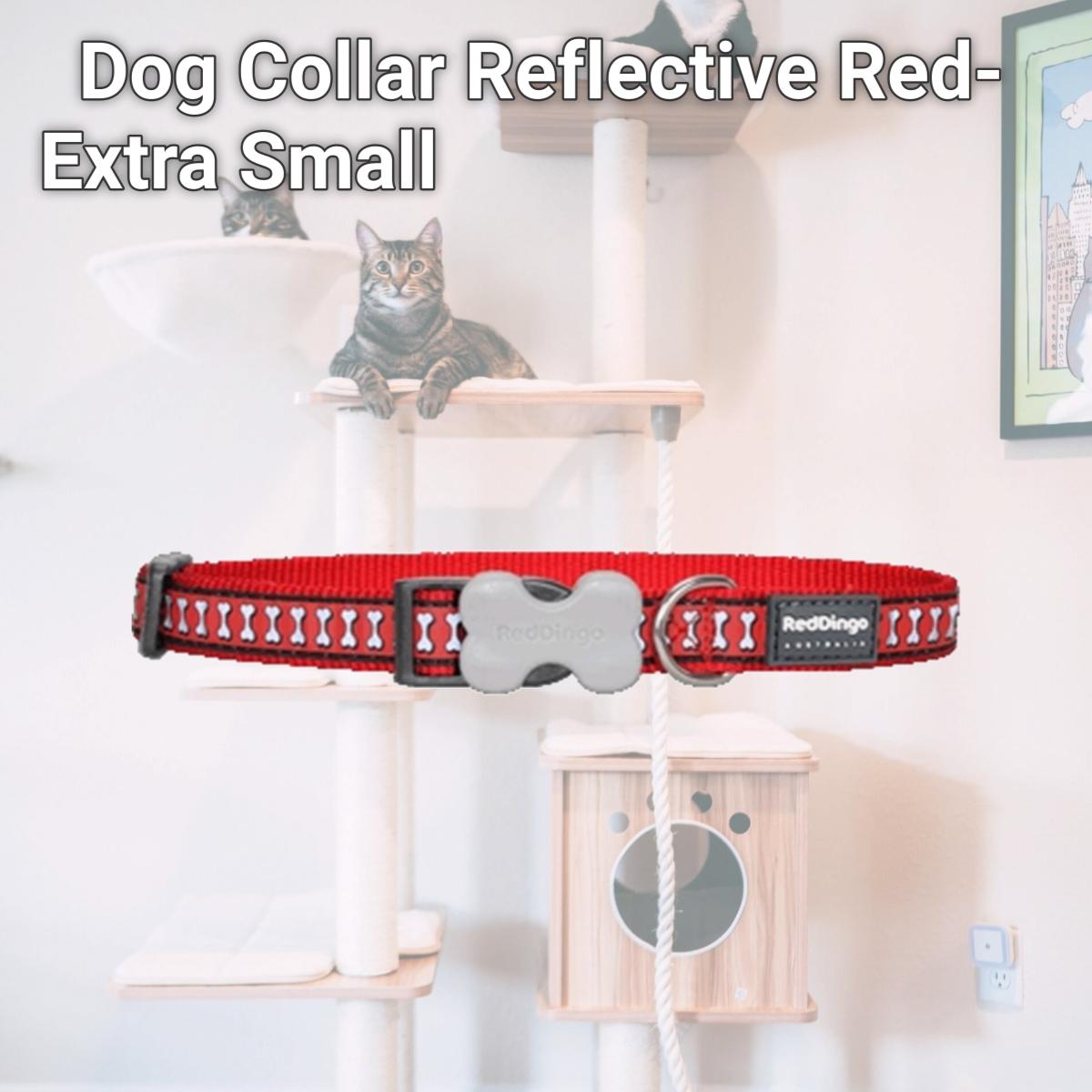 Picture of Red Dingo DC-RB-RE-12 Dog Collar Reflective Red- Extra Small