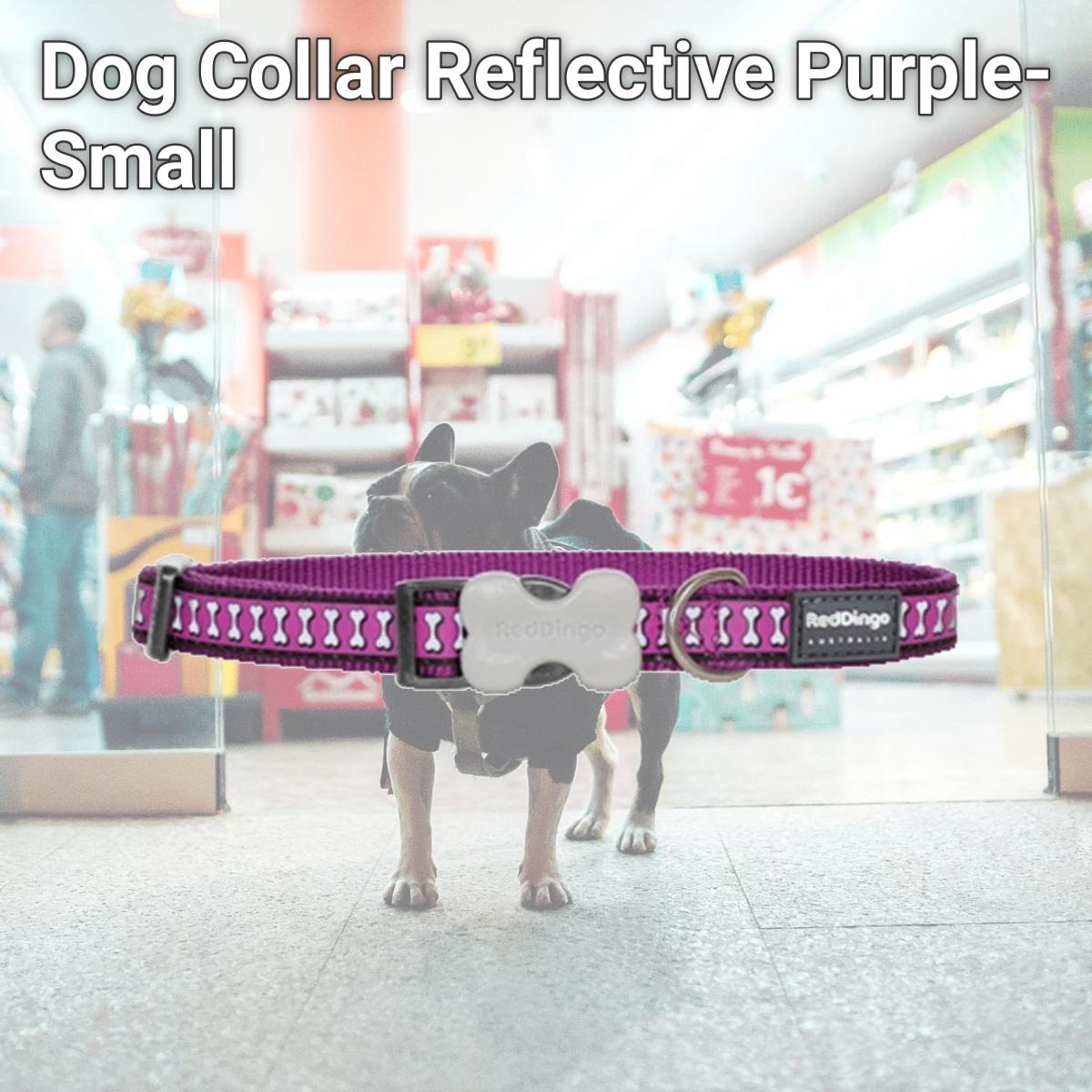 Picture of Red Dingo DC-RB-PU-12 Dog Collar Reflective Purple- Extra Small