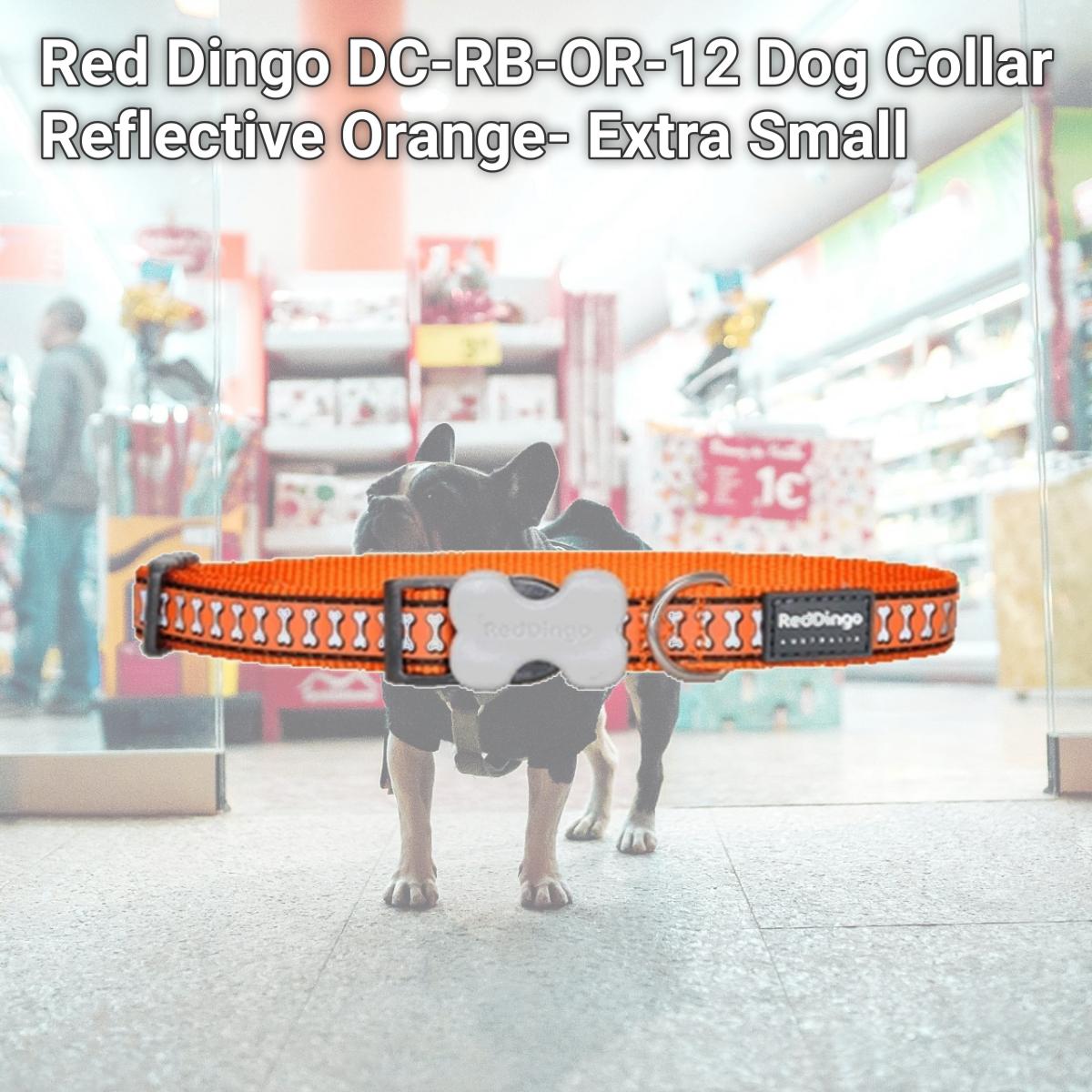 Picture of Red Dingo DC-RB-OR-12 Dog Collar Reflective Orange- Extra Small