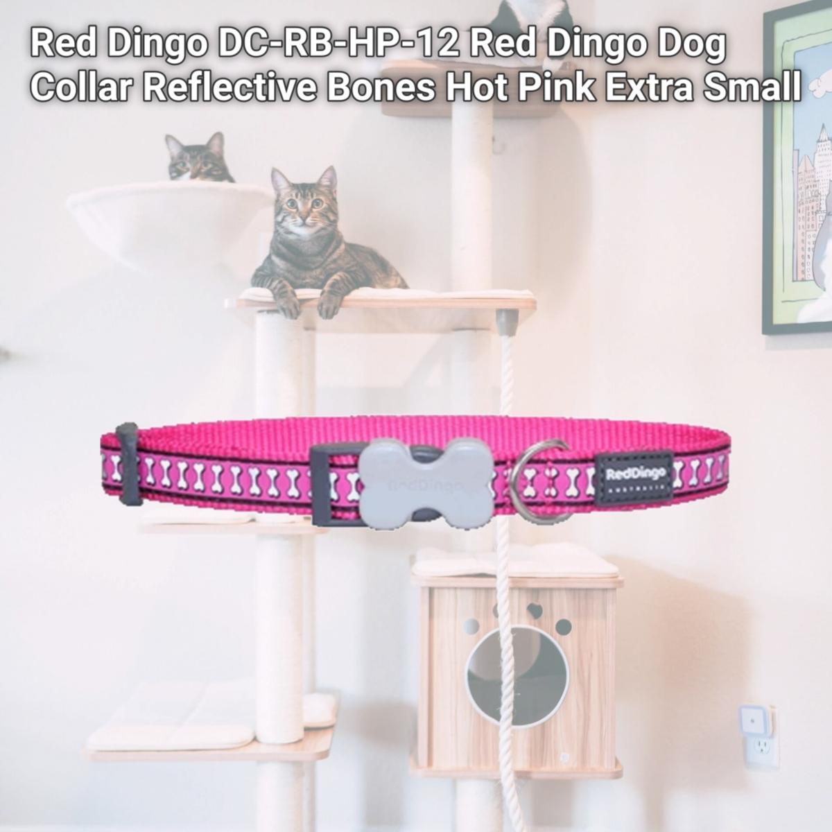 Picture of Red Dingo DC-RB-HP-12 Red Dingo Dog Collar Reflective Bones Hot Pink Extra Small