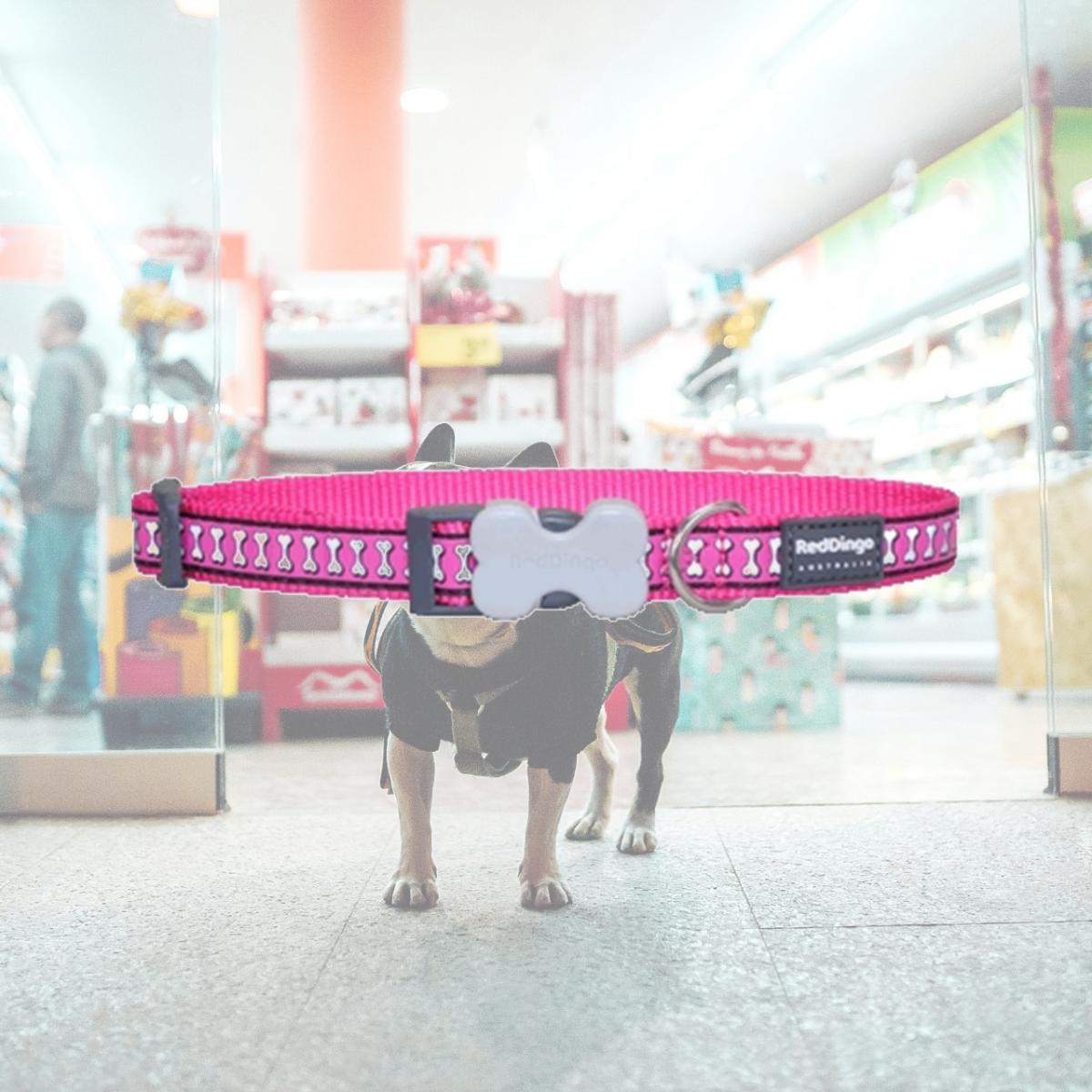 Picture of Red Dingo DC-RB-HP-12 Red Dingo Dog Collar Reflective Bones Hot Pink Extra Small