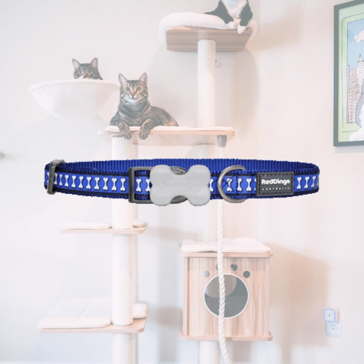 Picture of Red Dingo DC-RB-DB-20 Dog Collar Reflective Dark Blue- Medium