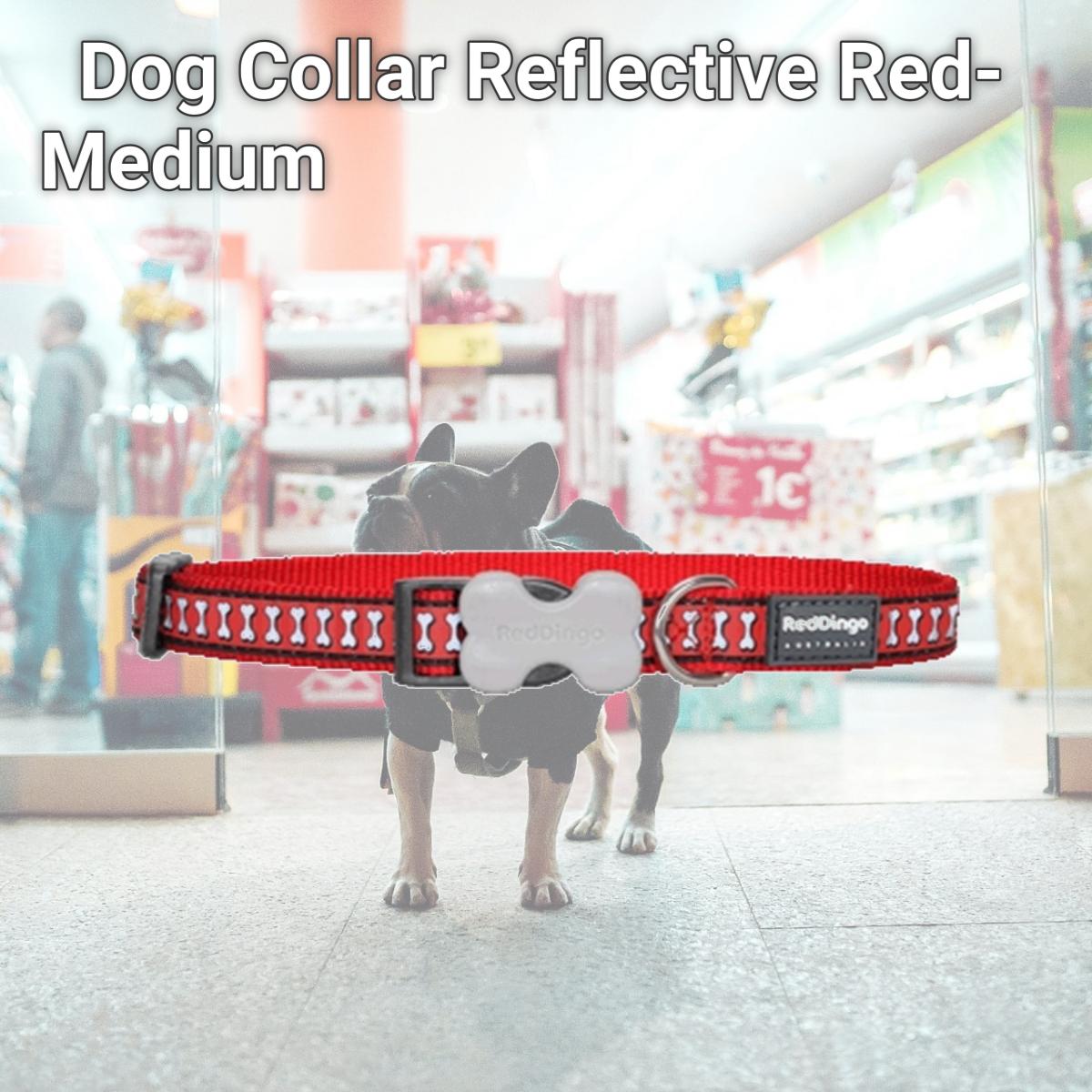 Picture of Red Dingo DC-RB-RE-20 Dog Collar Reflective Red- Medium