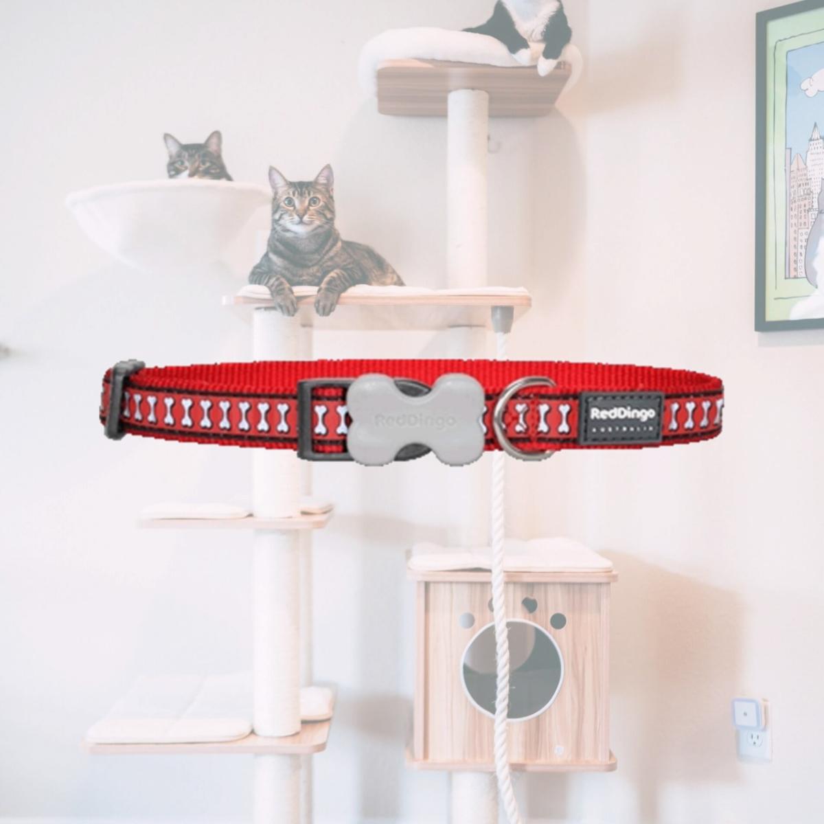 Picture of Red Dingo DC-RB-RE-20 Dog Collar Reflective Red- Medium