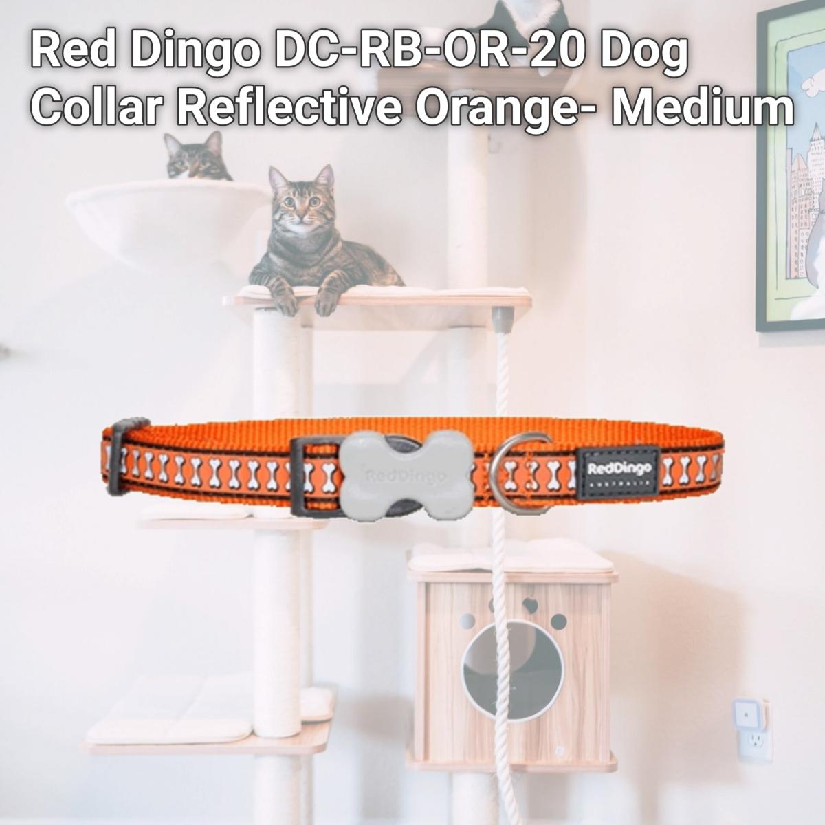 Picture of Red Dingo DC-RB-OR-20 Dog Collar Reflective Orange- Medium
