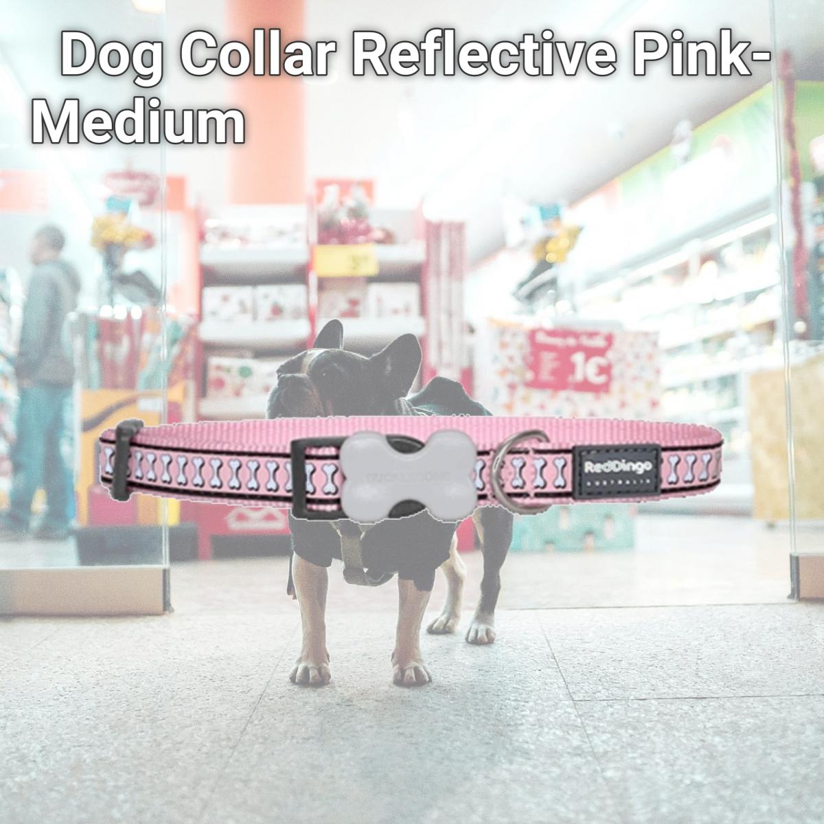 Picture of Red Dingo DC-RB-PK-20 Dog Collar Reflective Pink- Medium