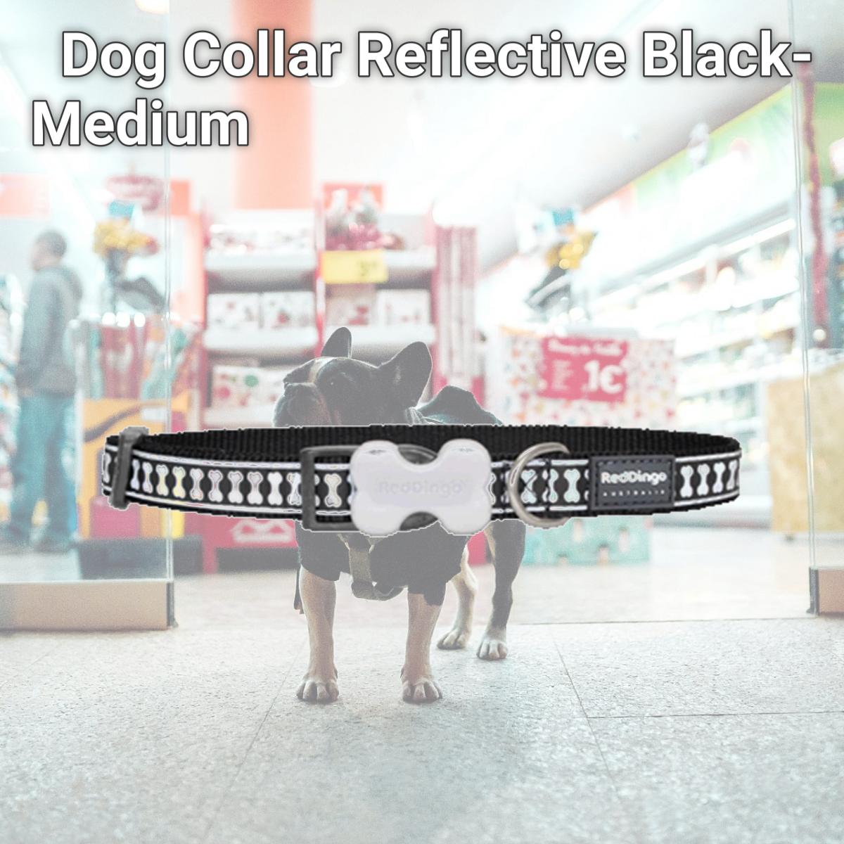 Picture of Red Dingo DC-RB-BB-20 Dog Collar Reflective Black- Medium