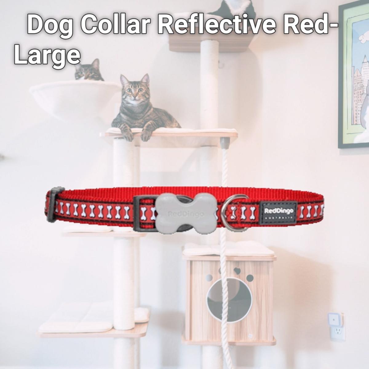 Picture of Red Dingo DC-RB-RE-25 Dog Collar Reflective Red- Large