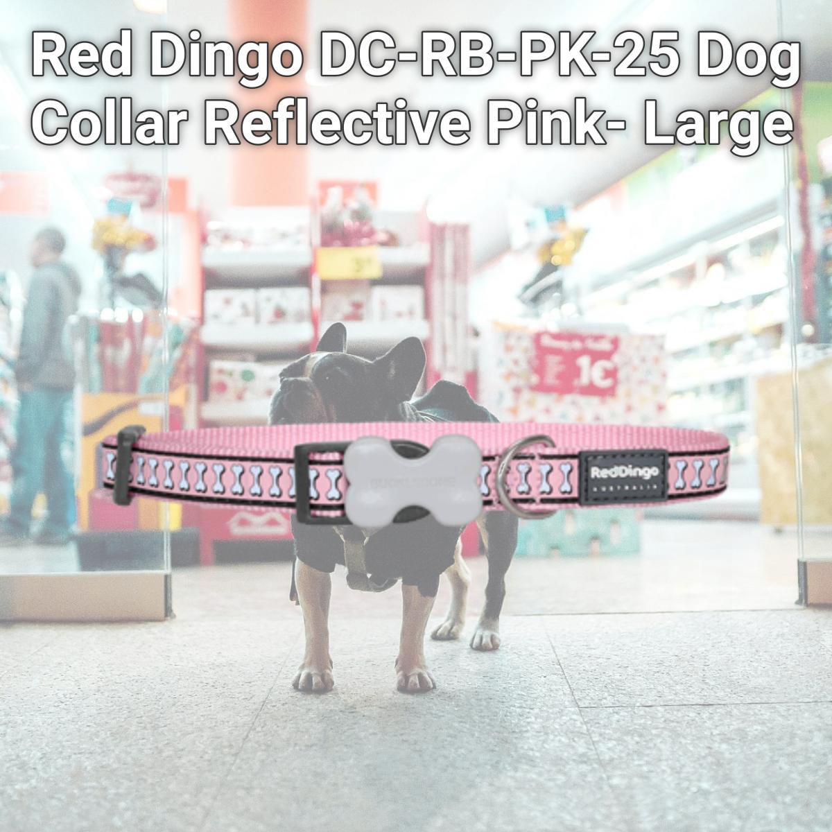 Picture of Red Dingo DC-RB-PK-25 Dog Collar Reflective Pink- Large