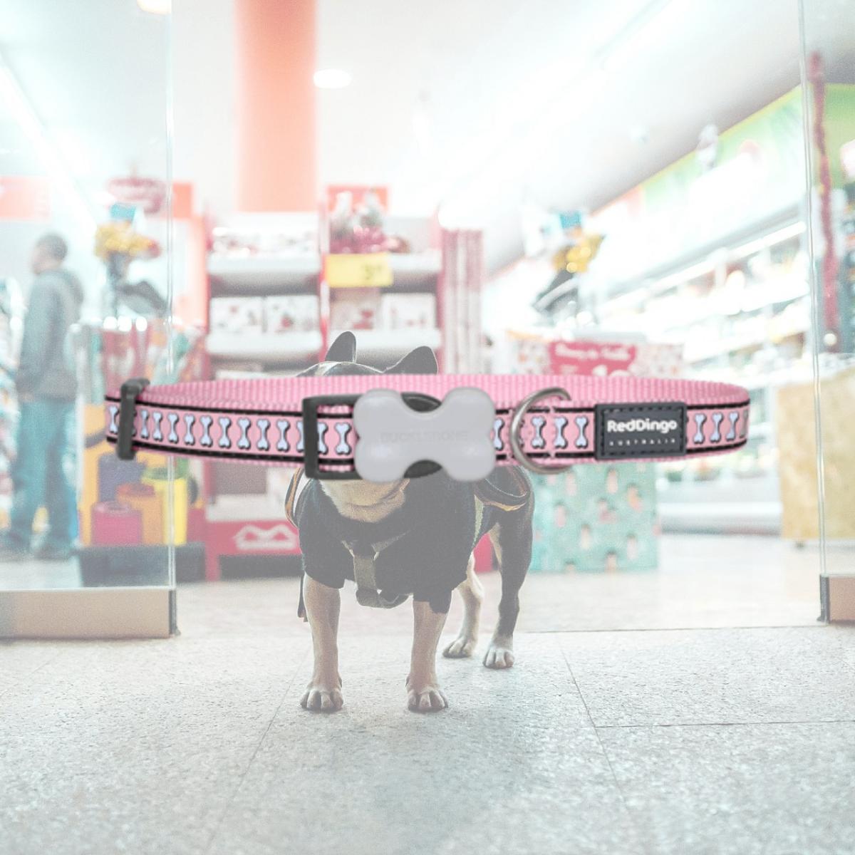 Picture of Red Dingo DC-RB-PK-25 Dog Collar Reflective Pink- Large