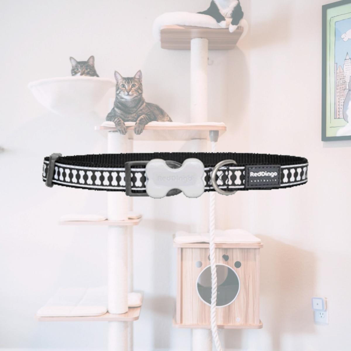 Picture of Red Dingo DC-RB-BB-25 Dog Collar Reflective Black- Large
