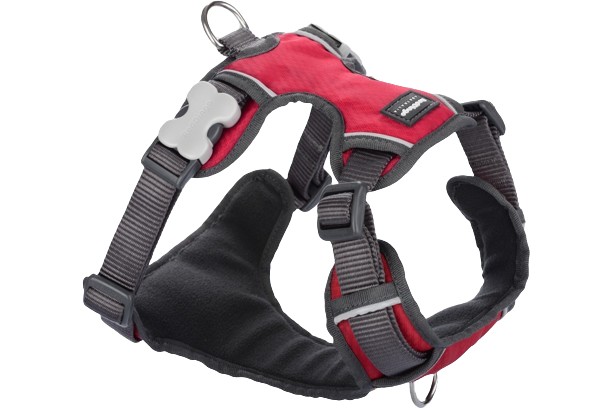 Picture of Red Dingo DH-PH-RE-SM Dog Padded Harness&#44; Red - Small